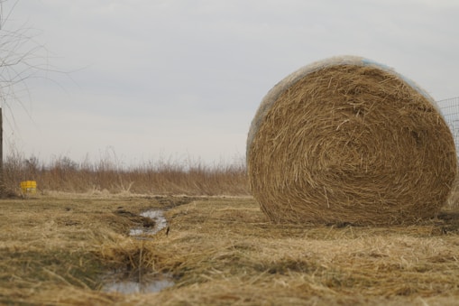 a bale of hay sitting in the middle of a field