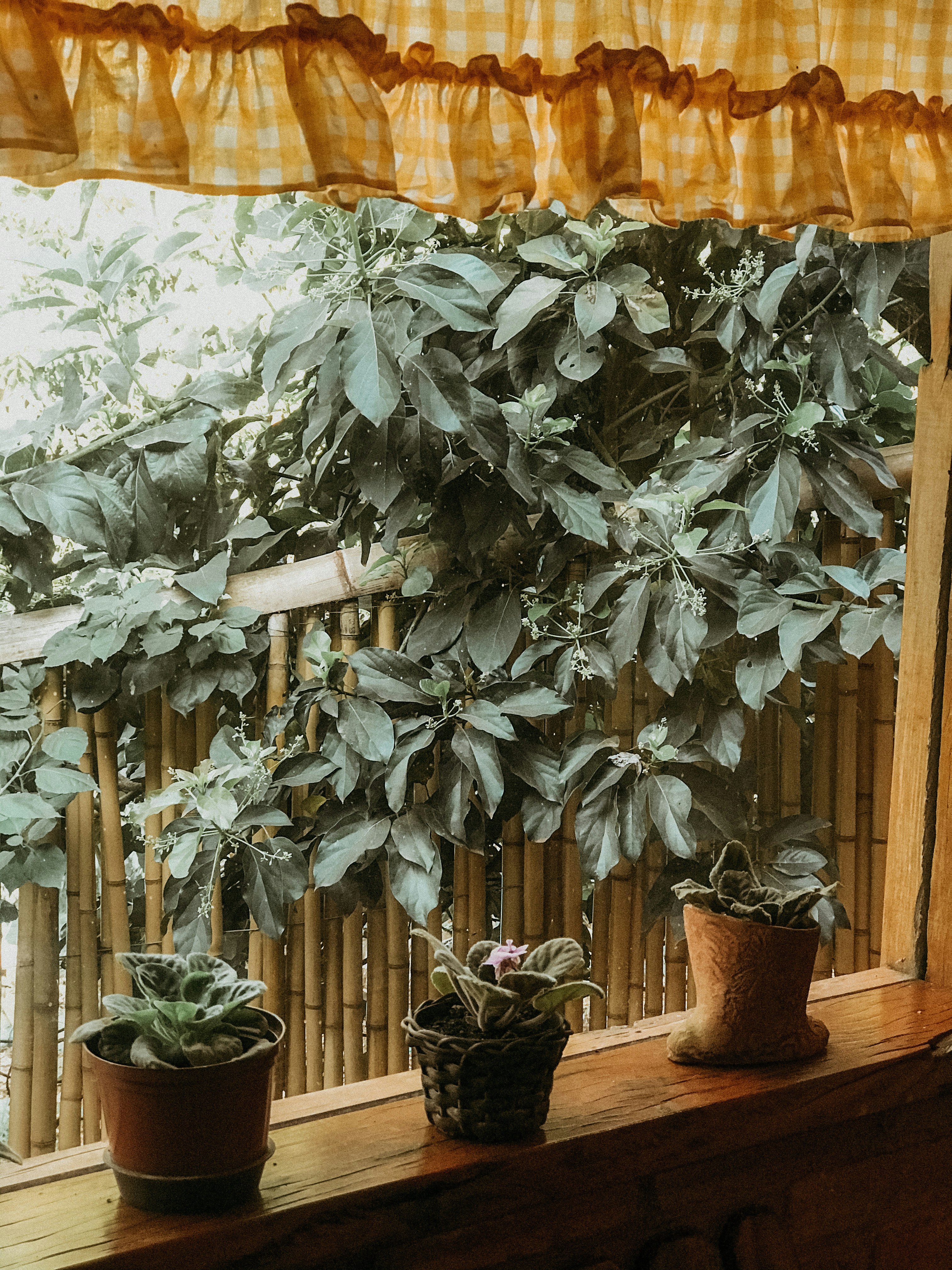 Photo by tatianalucenafoto