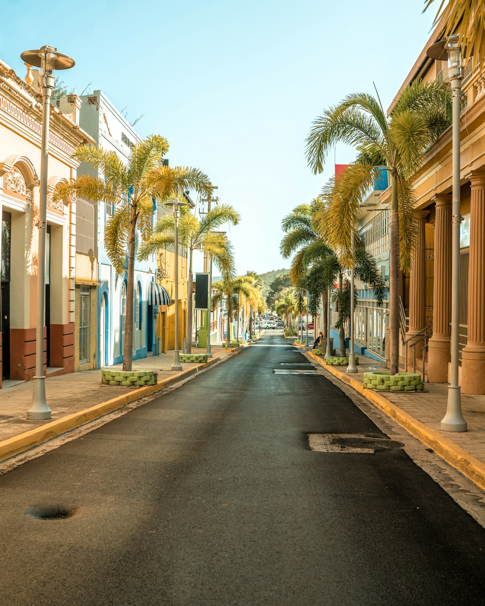 Una calle bordeada de palmeras junto a edificios altos