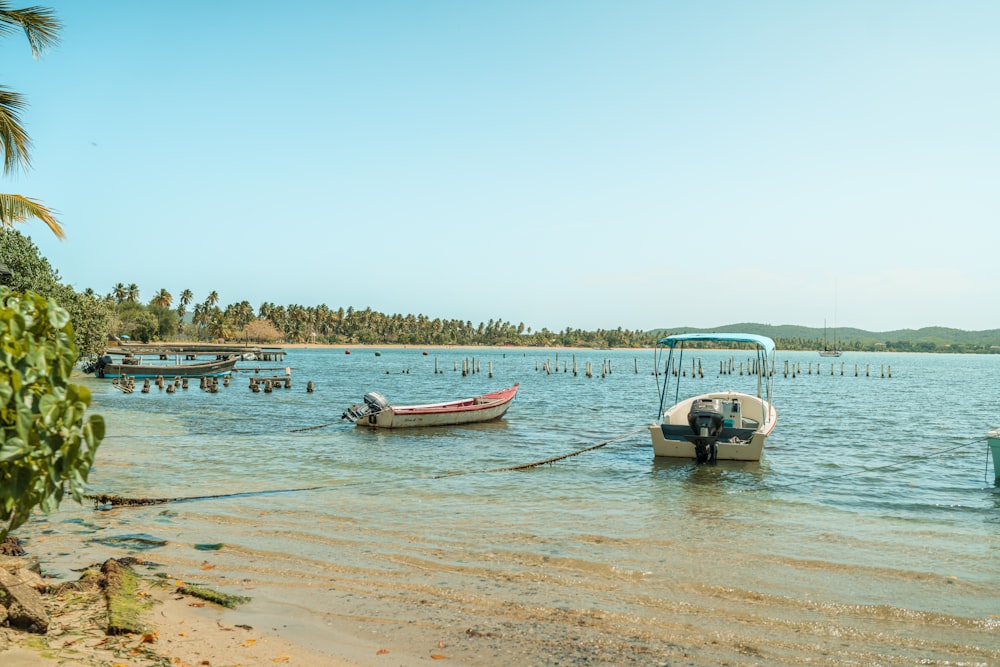 a couple of boats that are sitting in the water