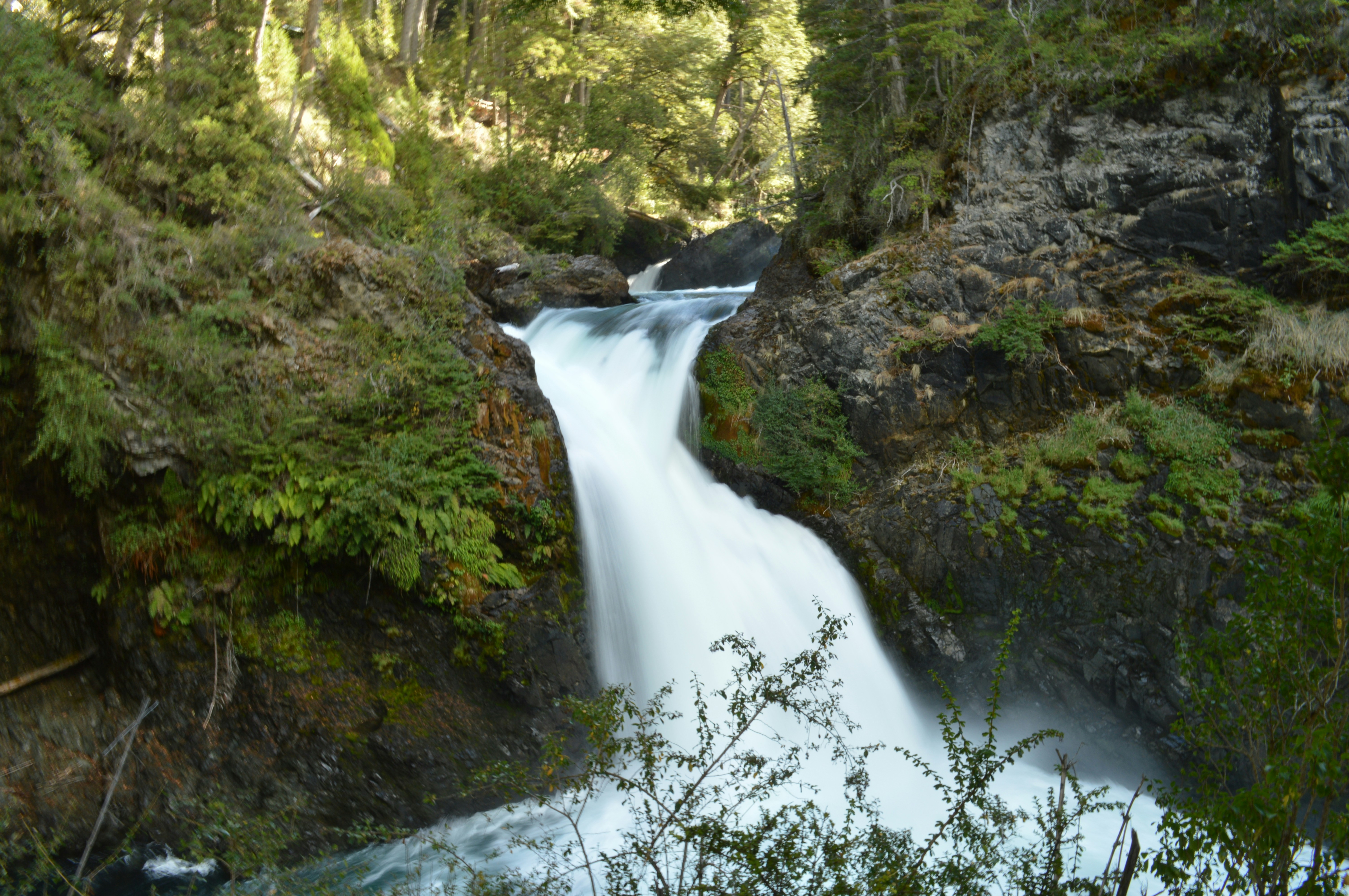 Photo by maysegovial