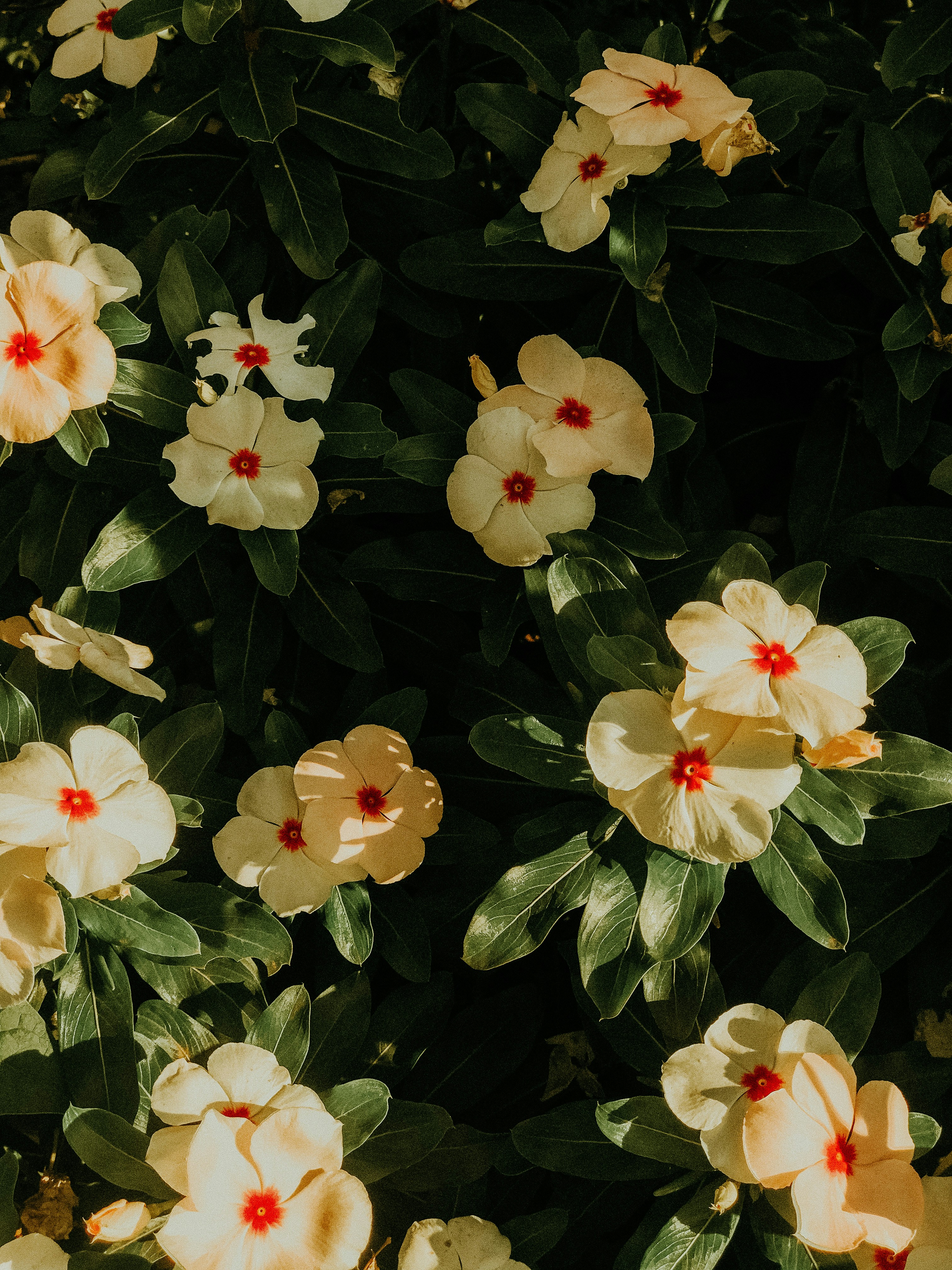 Photo by tatianalucenafoto