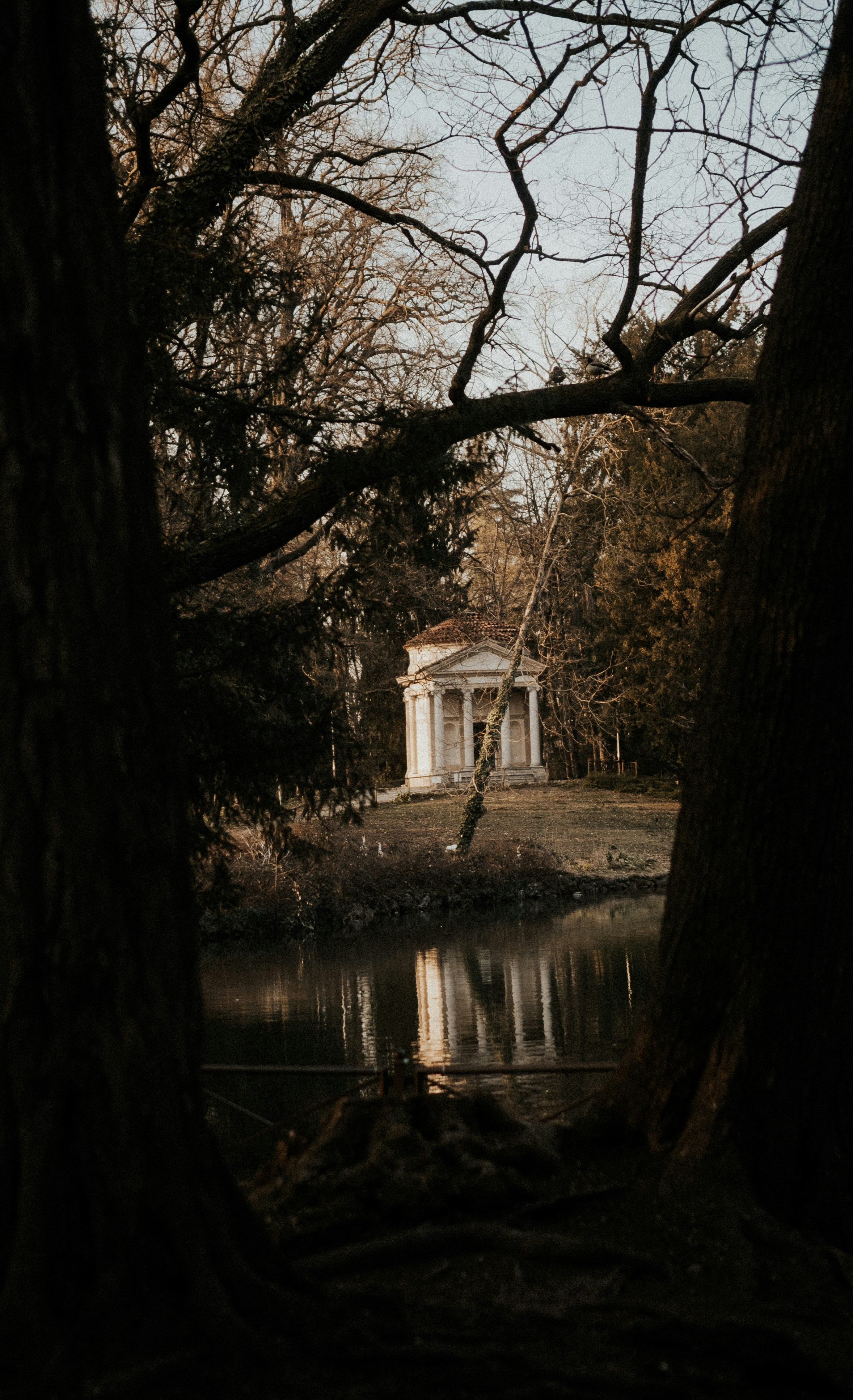 Photo by bryanbrittos