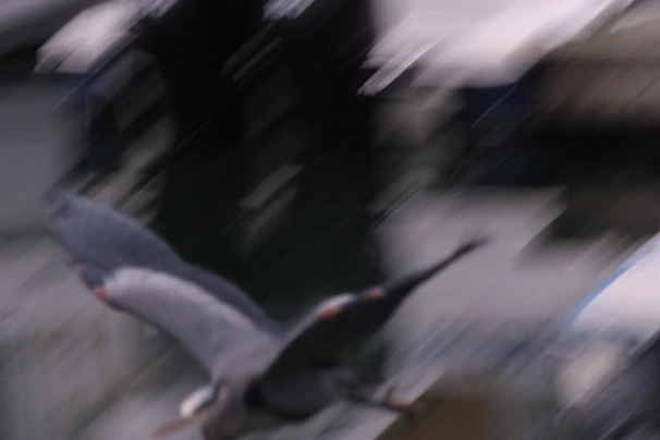 Action shot of a quarterback launching a deep pass with intense focus and motion blur.