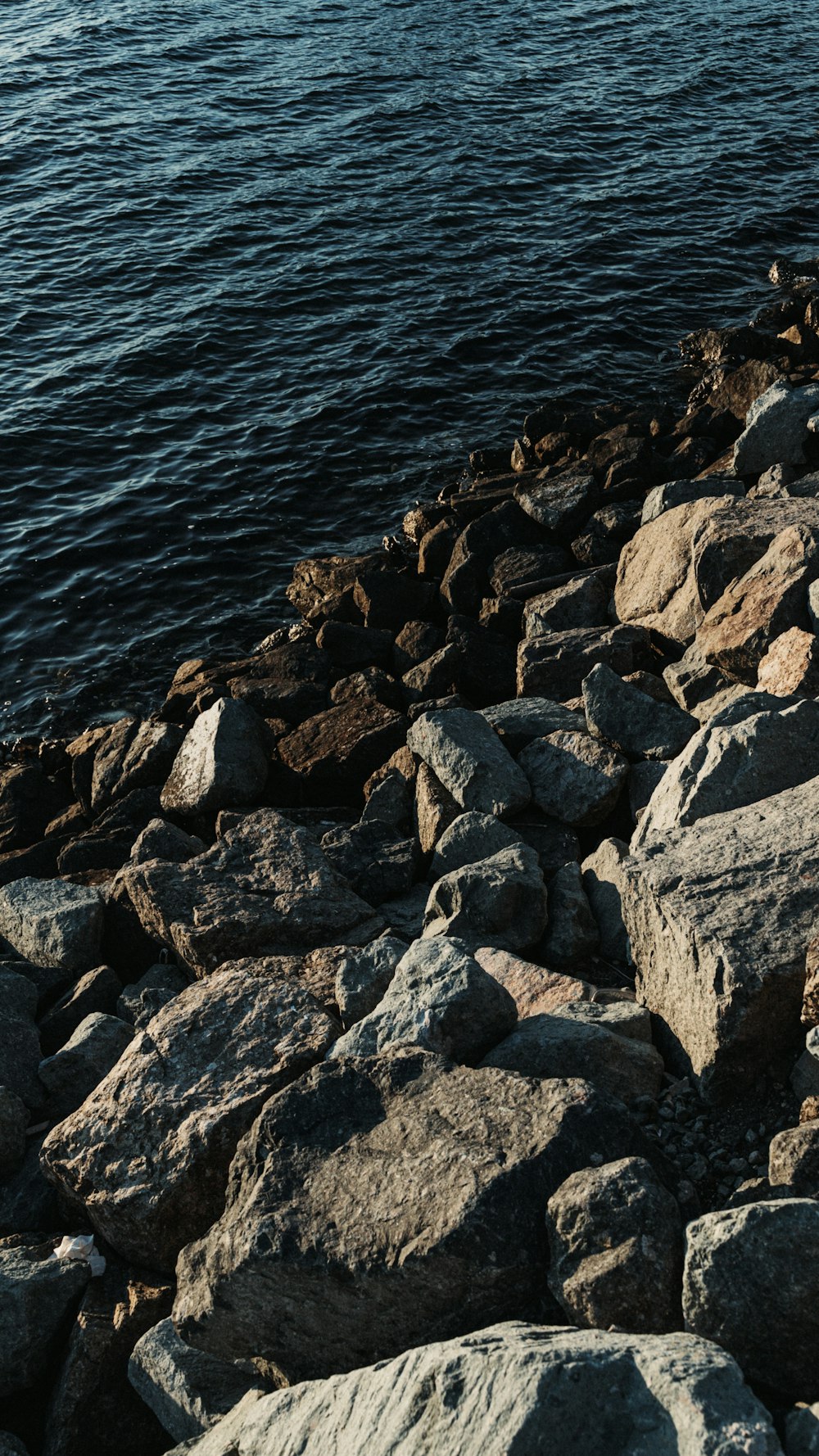 a bird is sitting on the rocks by the water