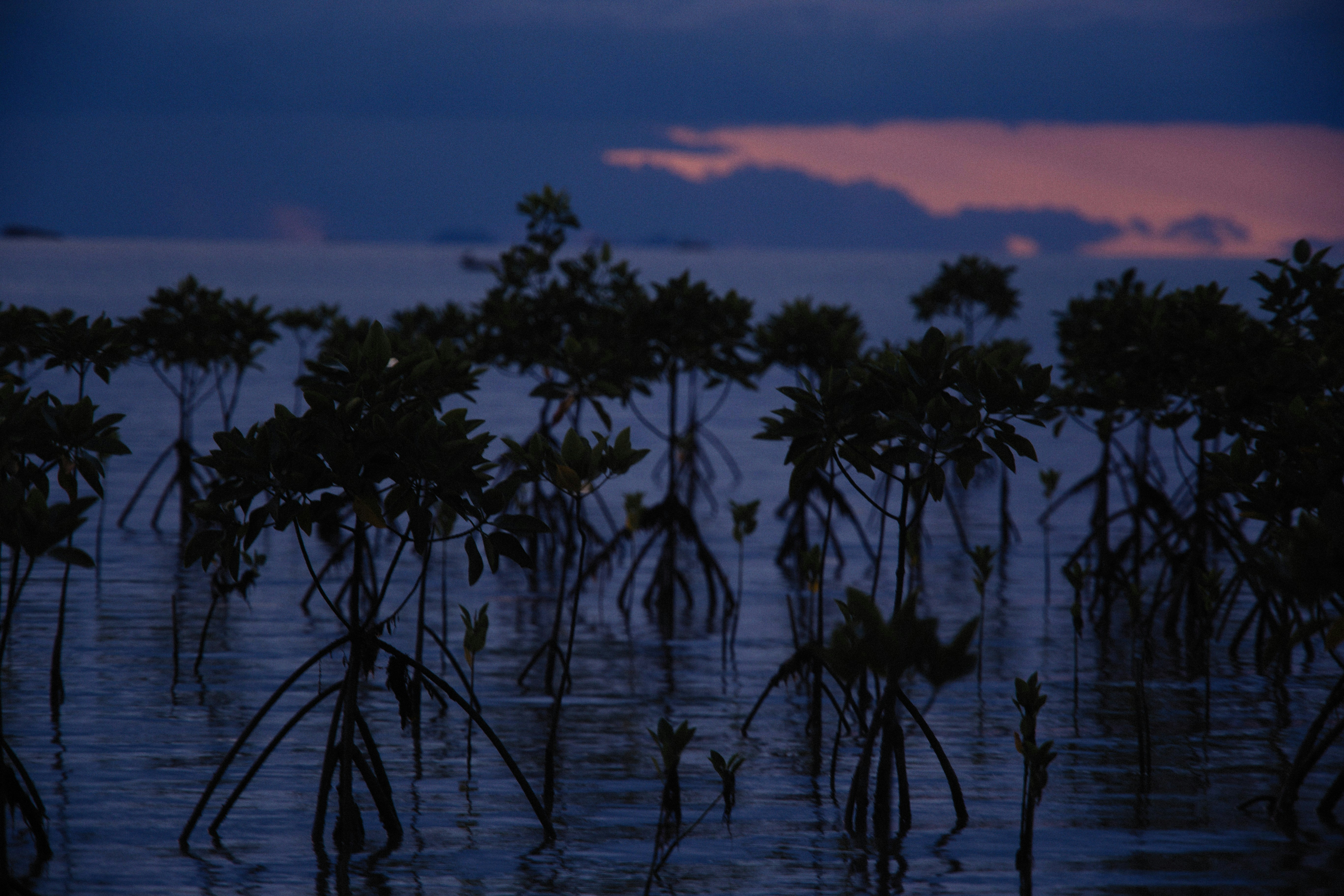 Photo by alexeydemidov