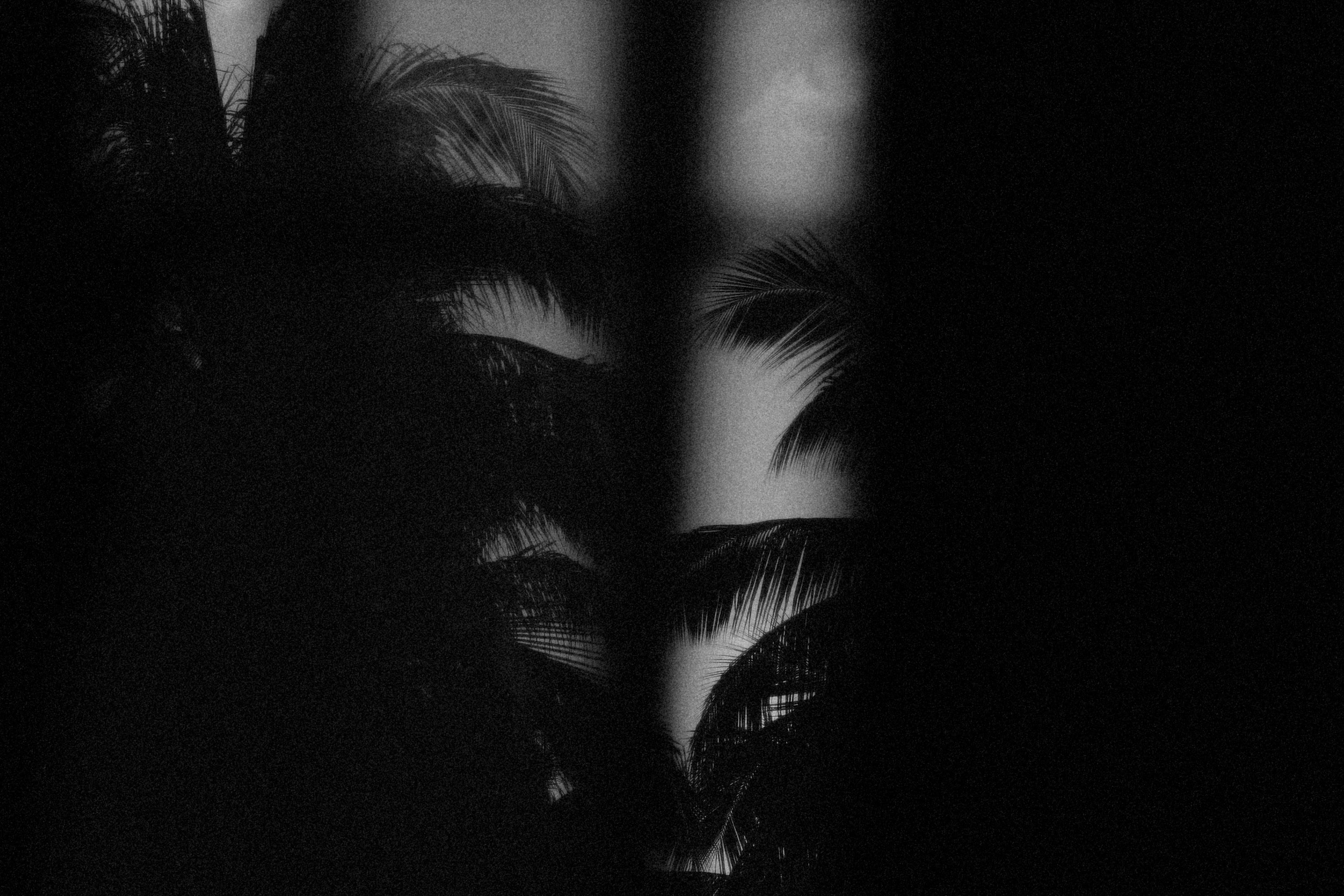 Photo by alexeydemidov