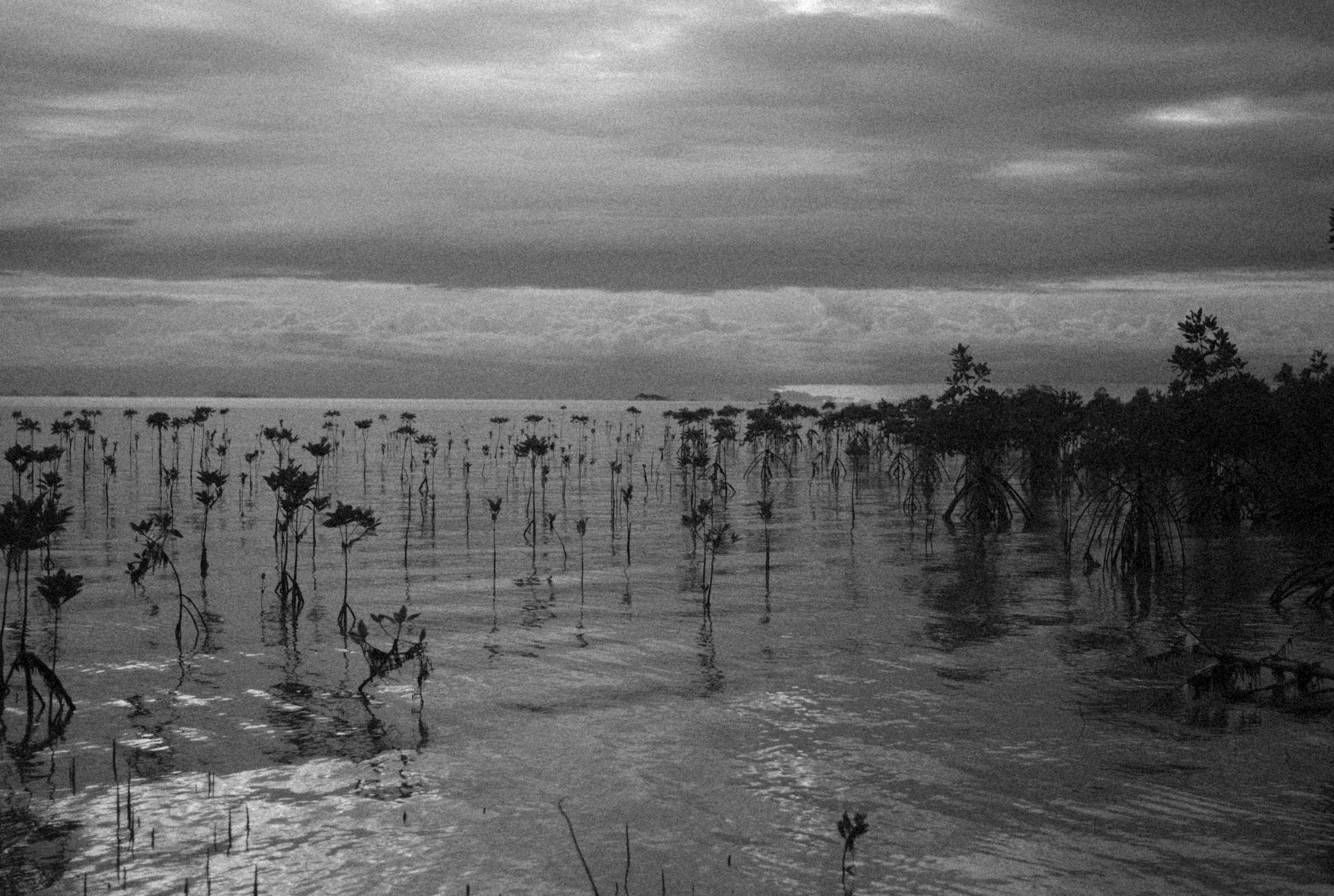 Photo by alexeydemidov