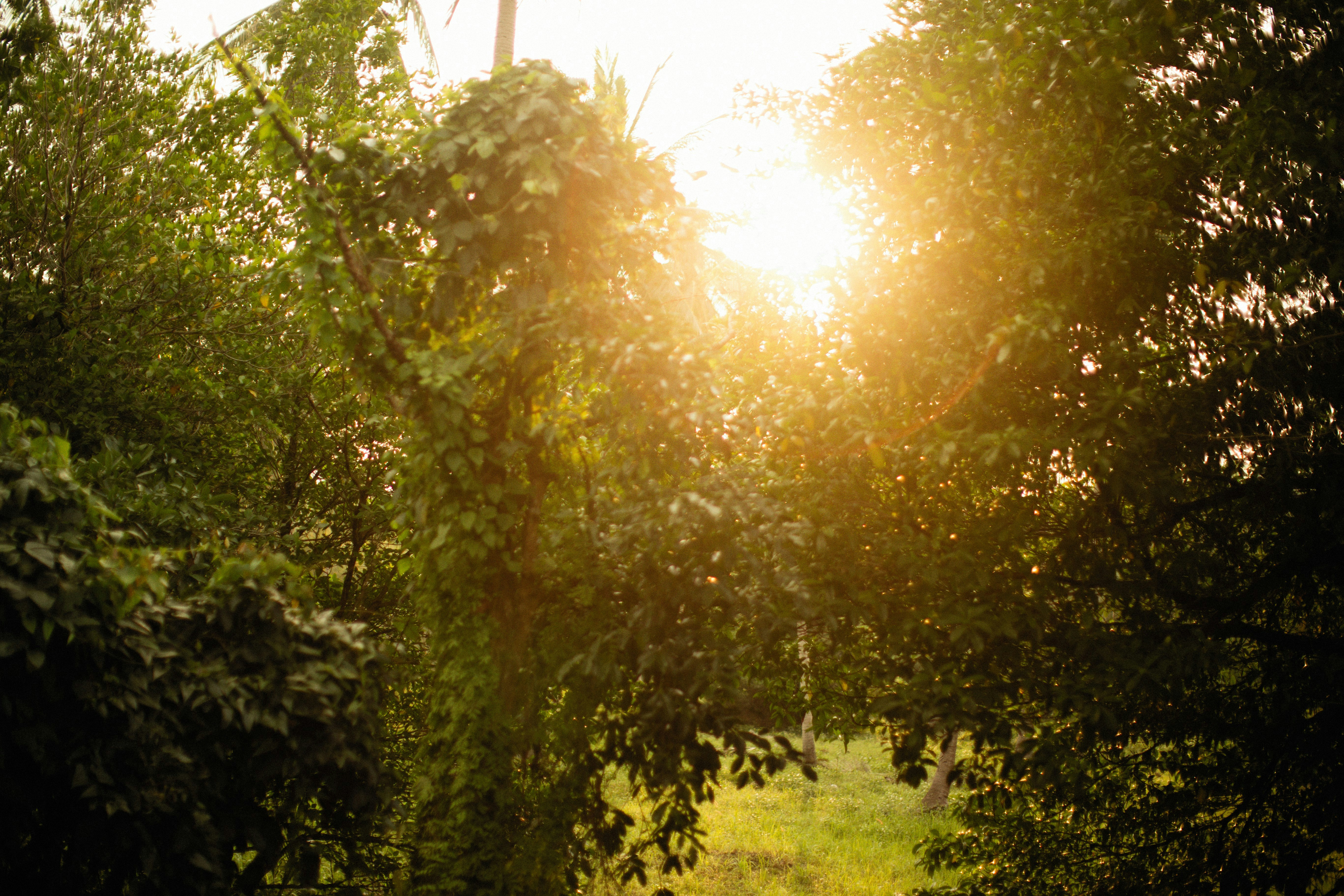 Photo by alexeydemidov