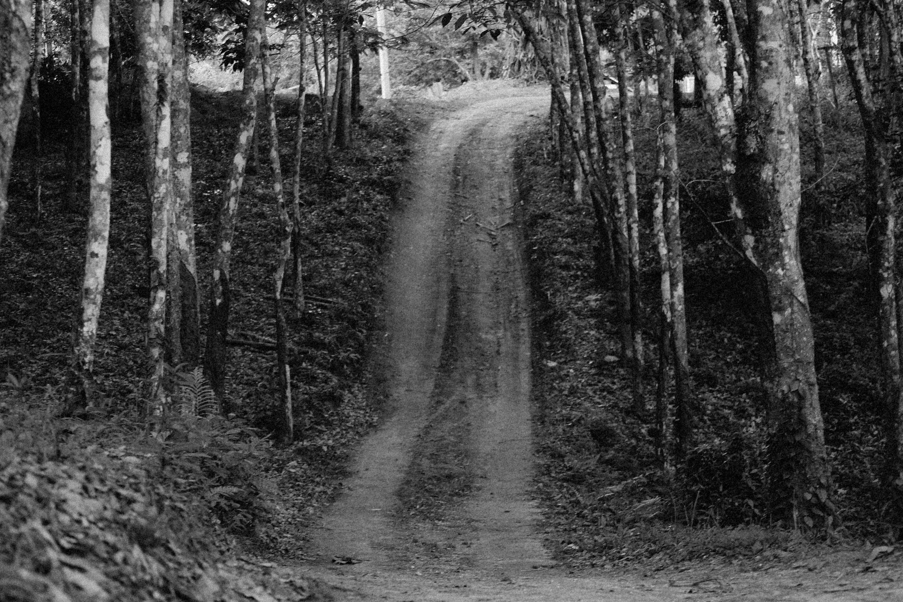 Photo by alexeydemidov