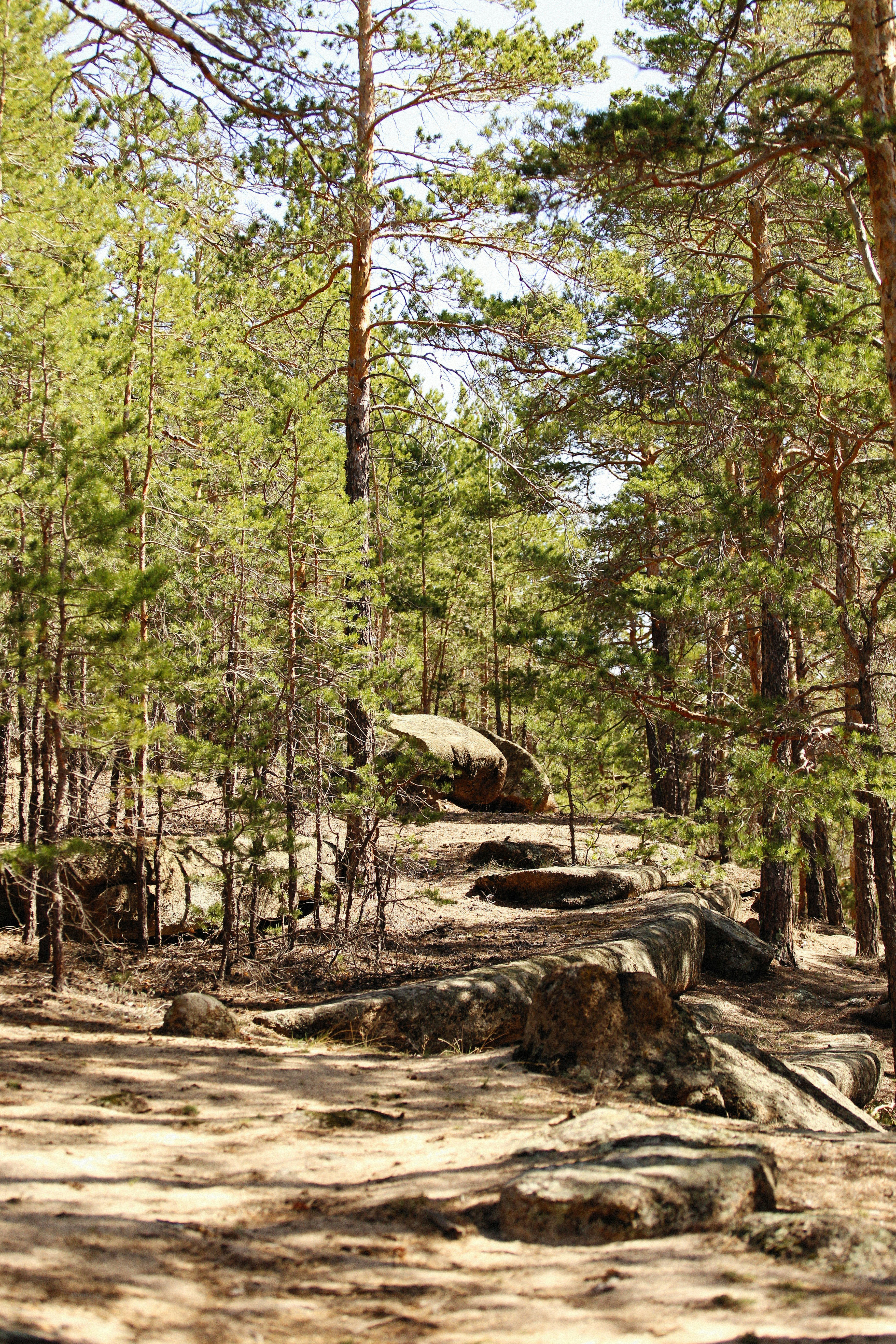 Photo by alexeydemidov