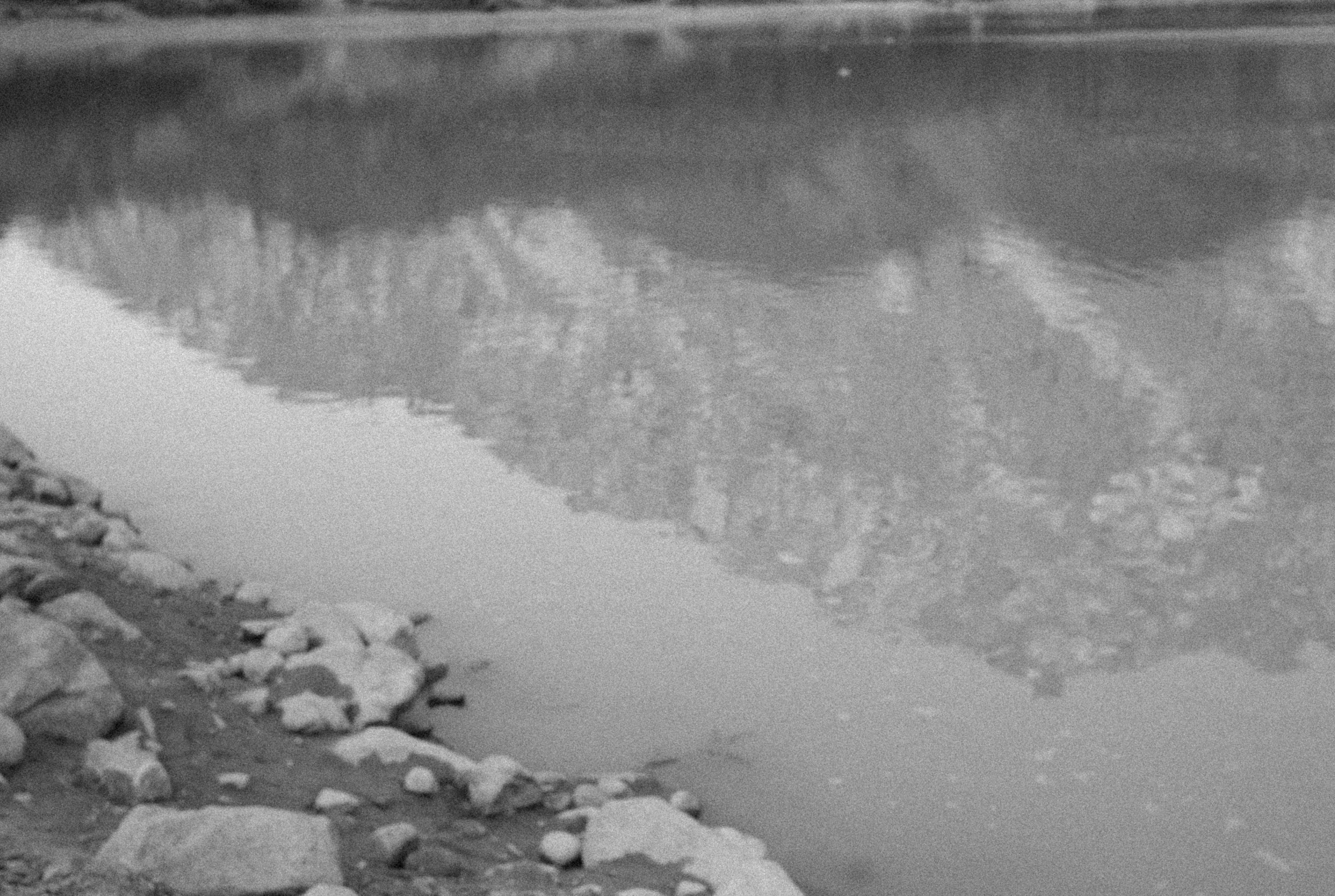 Photo by alexeydemidov