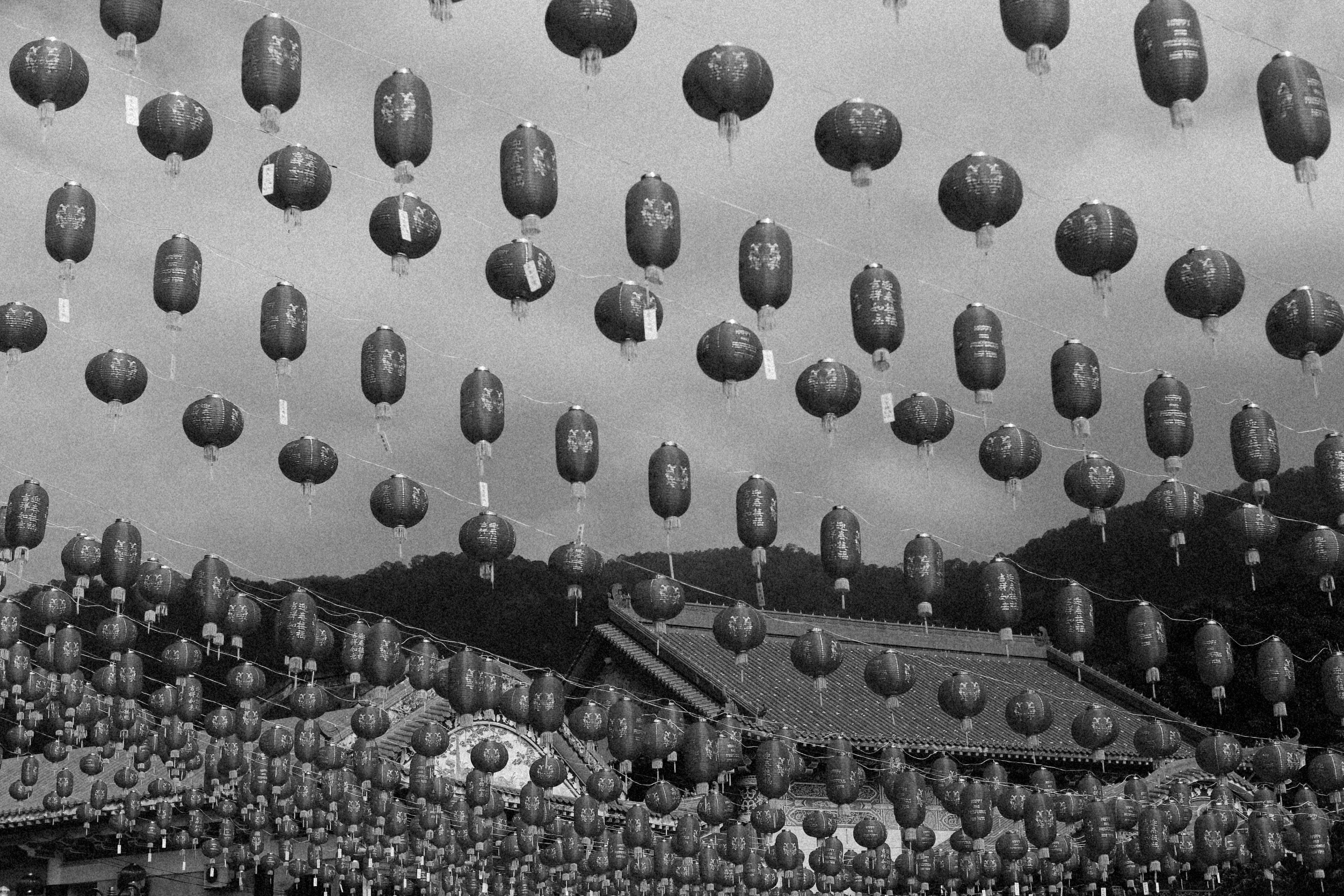 Photo by alexeydemidov