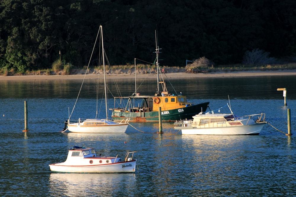 a group of boats floating on top of a lake