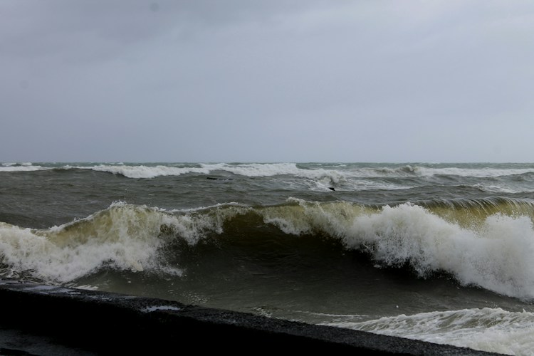 Cook Strait: New Zealand's Windy Divide