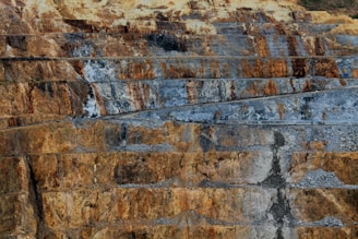 a bird is sitting on a ledge of a cliff