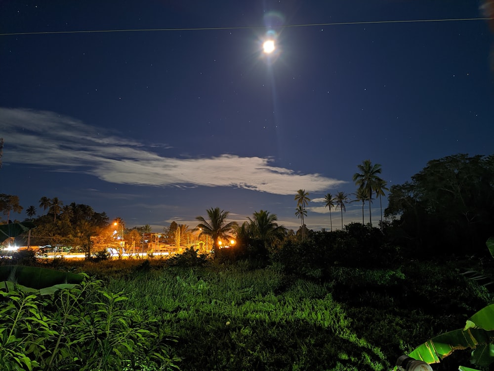 a full moon shines in the sky above a lush green field