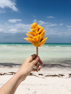 A hand holds a carved mango shaped like a flower against a backdrop of a beach. The ocean is calm, with gentle waves, and the sky is partly cloudy, creating a serene atmosphere.