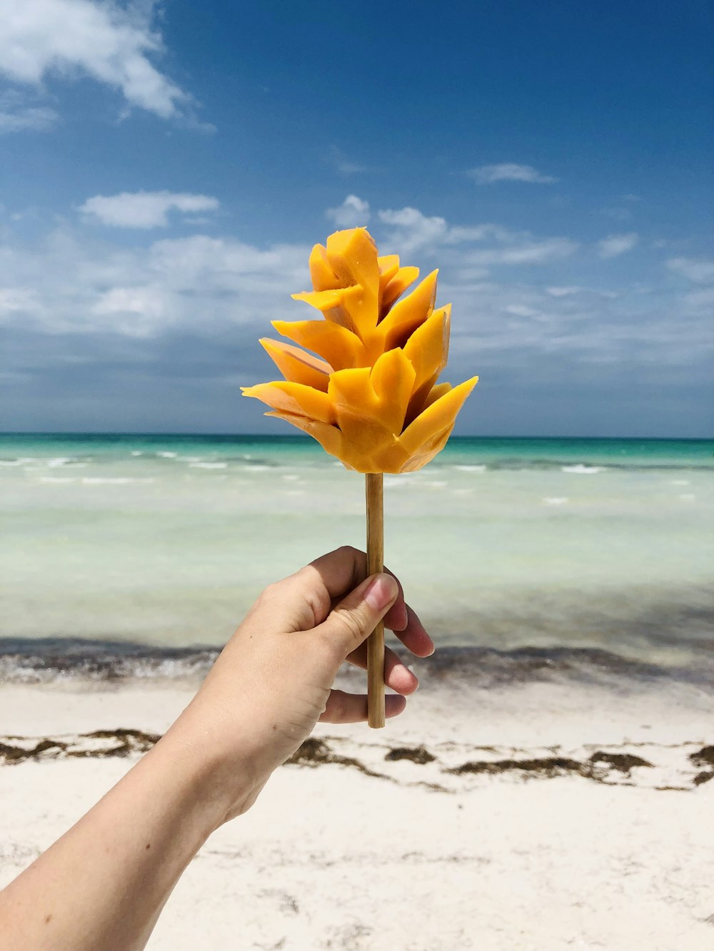 a hand holding a yellow flower on a beach