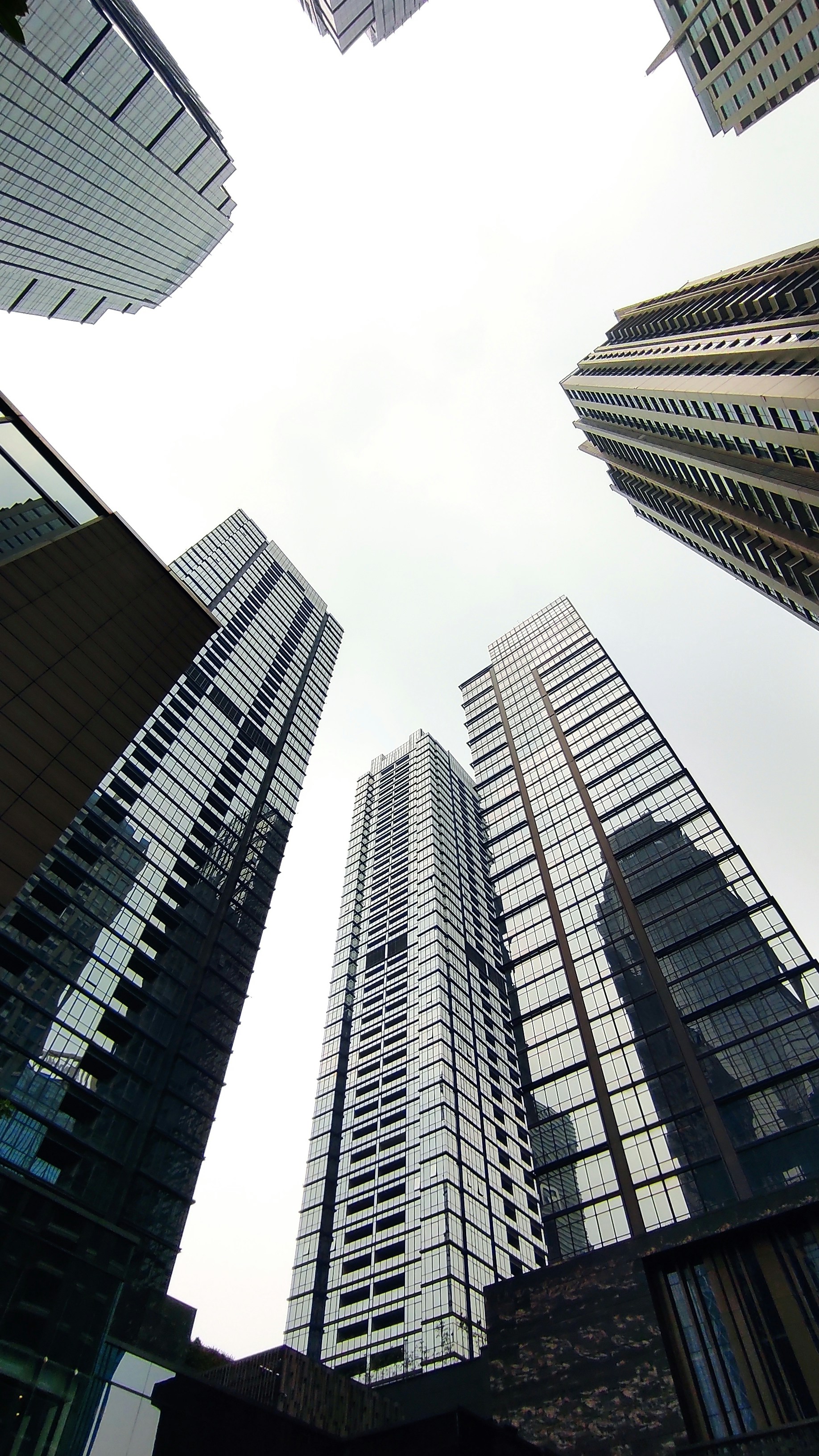 Photo by nafalhaldis