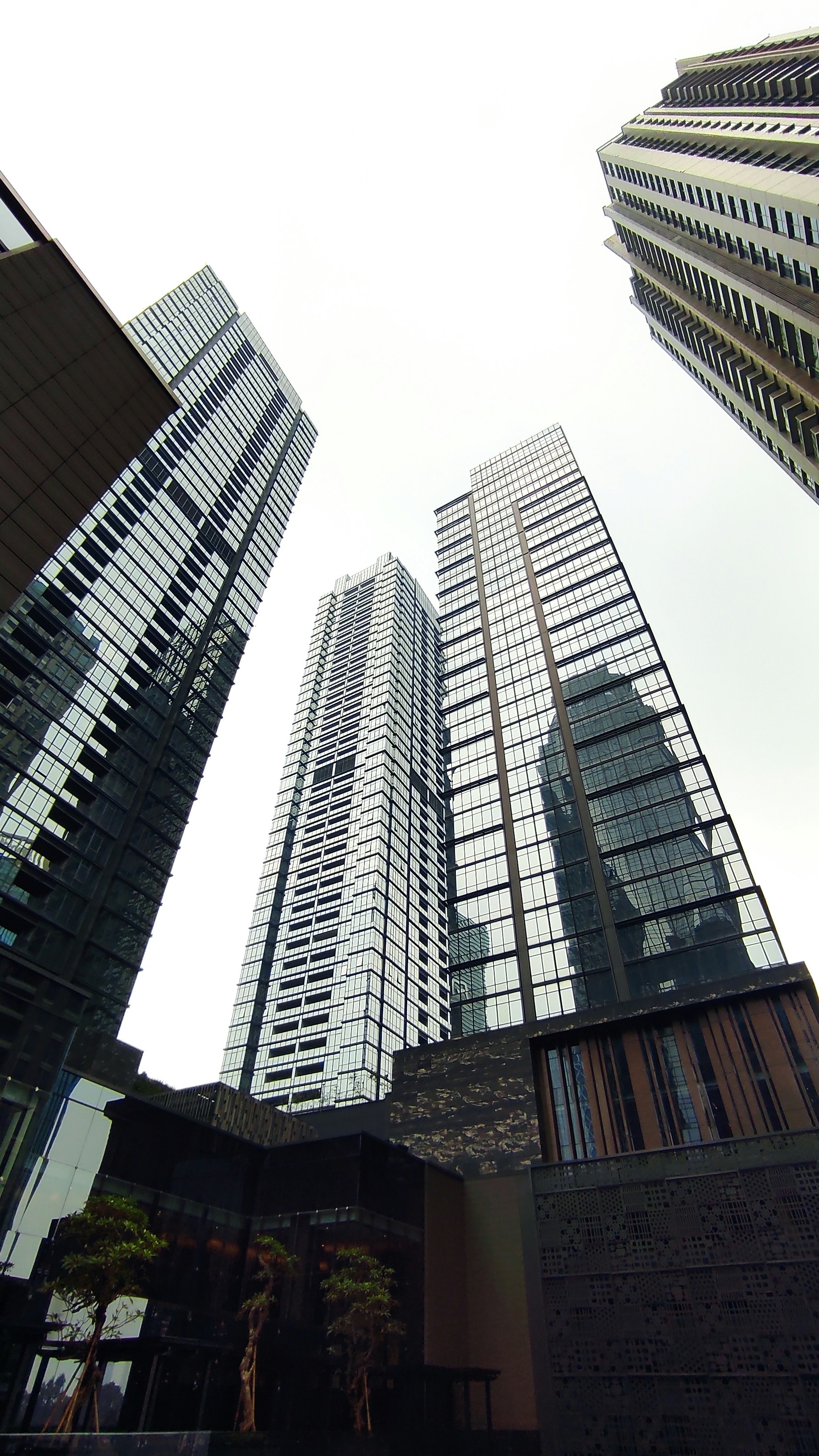 Photo by nafalhaldis