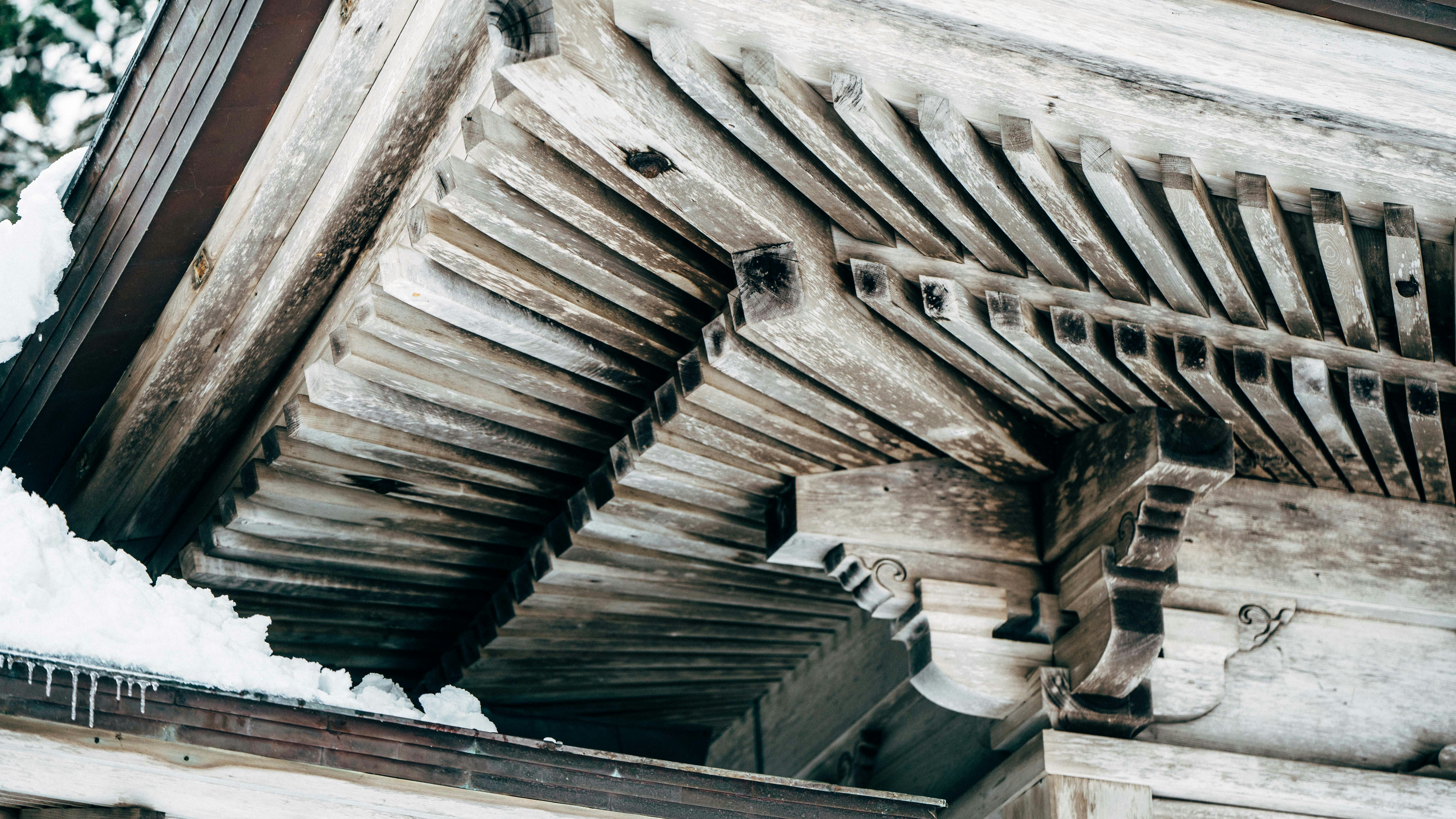 Photo by tokyokohaku