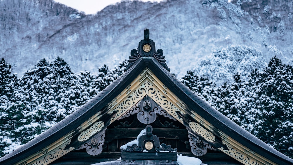 the roof of a building with a mountain in the background