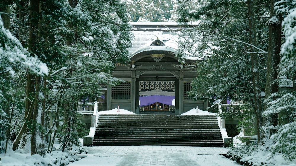 a snow covered walkway leading to a building