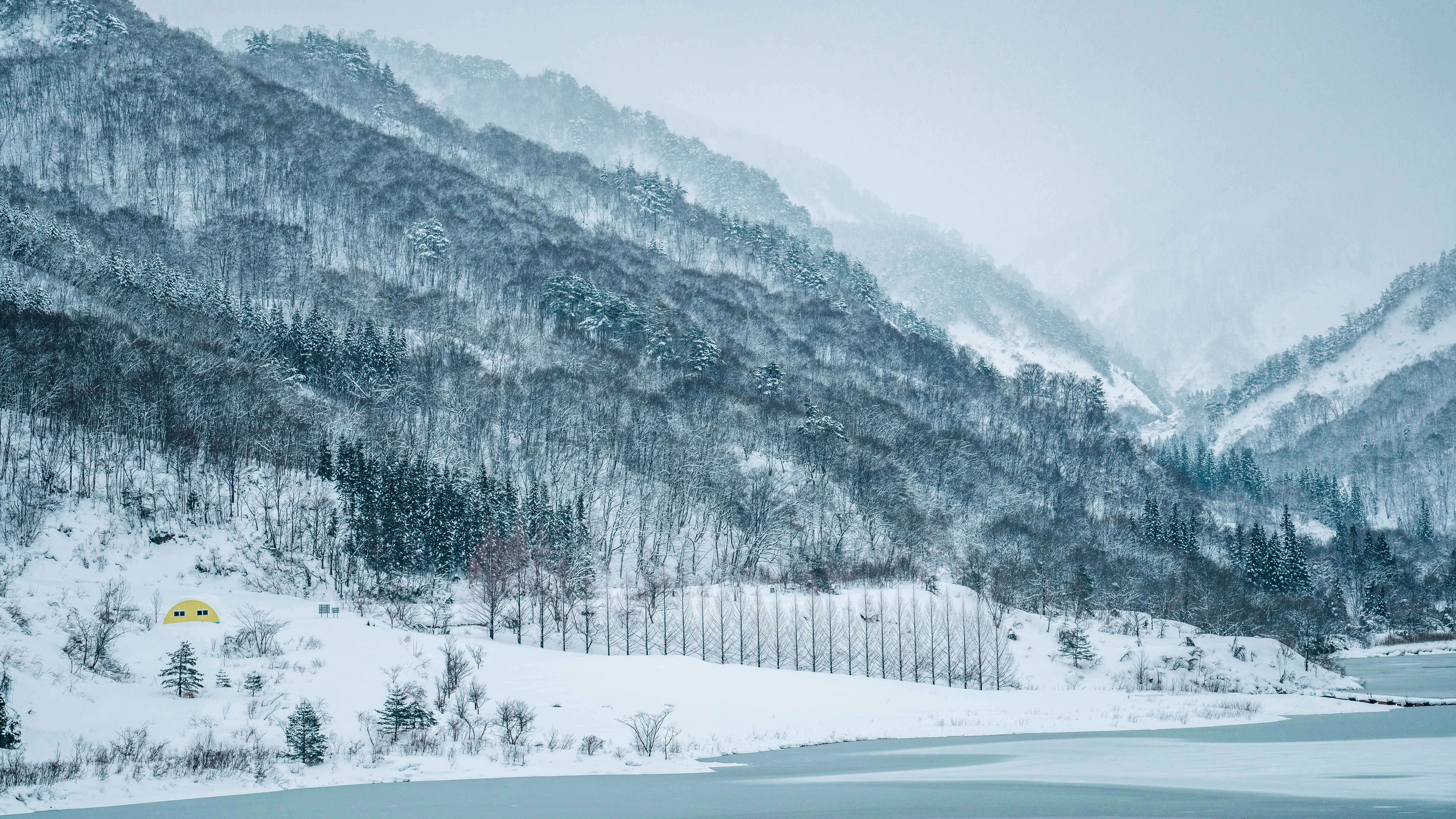 Photo by tokyokohaku