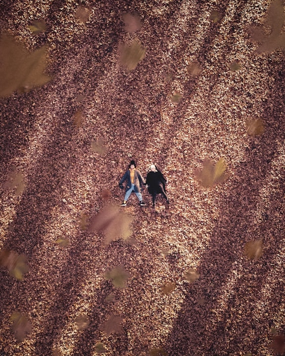 Section image