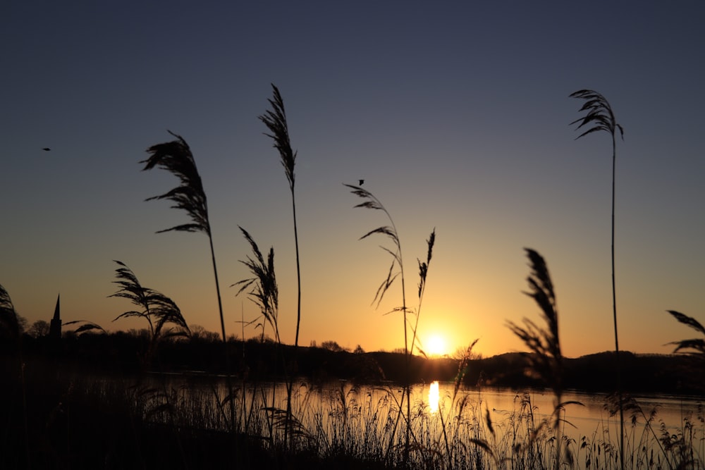 the sun is setting over a body of water