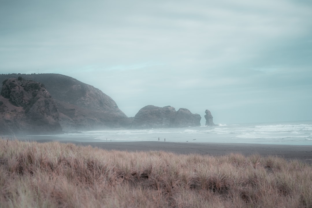 a person standing on a beach near the ocean,