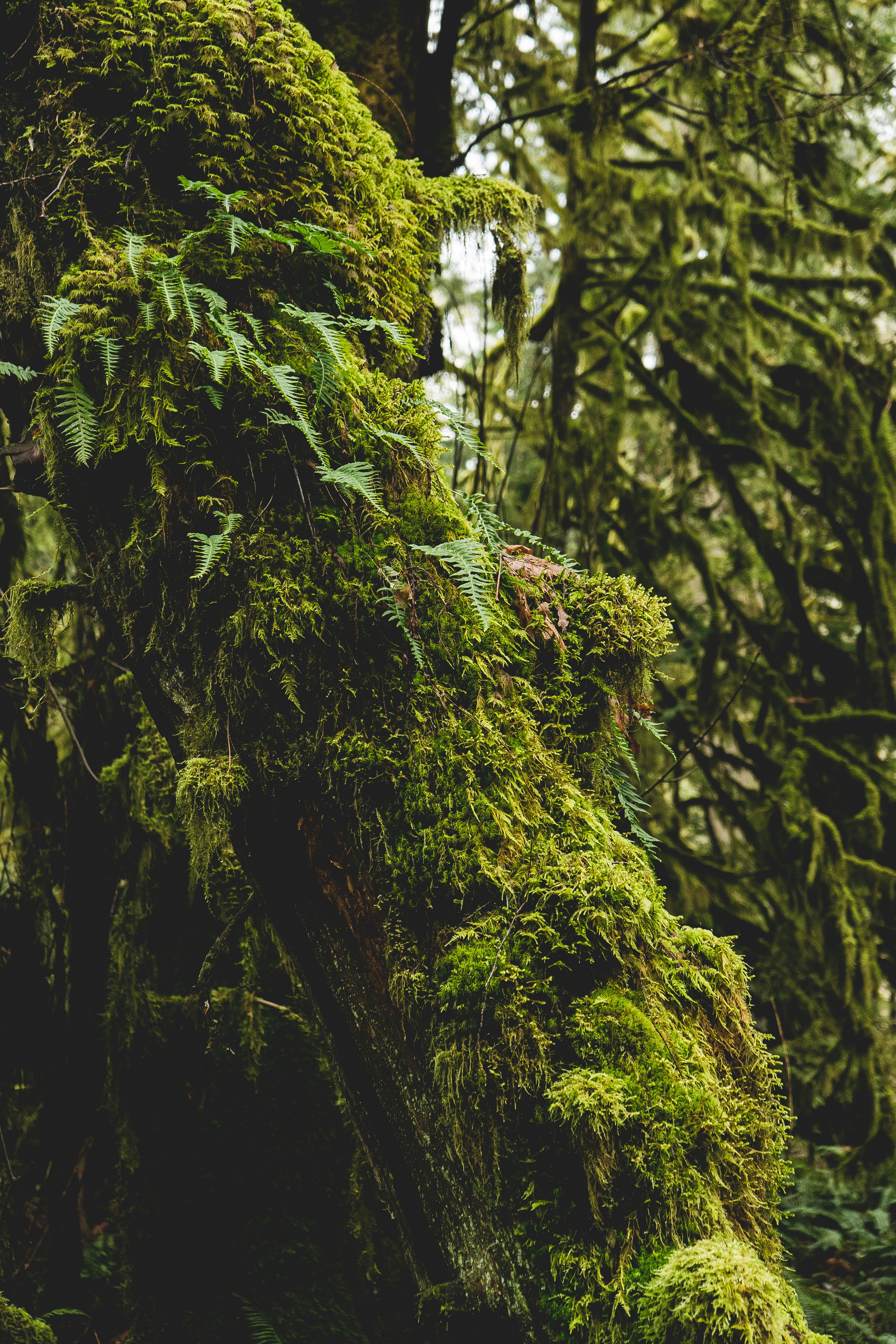 Photo by jaspergarrattphotography