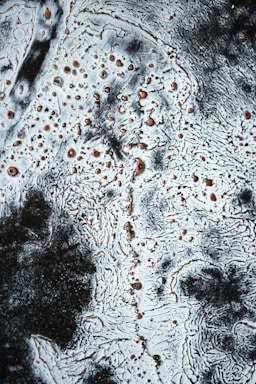 The image features an abstract pattern resembling a textured surface with dark patches and numerous circular spots scattered across a predominantly light background. The contrast between the dark and light areas creates a complex and intricate design.