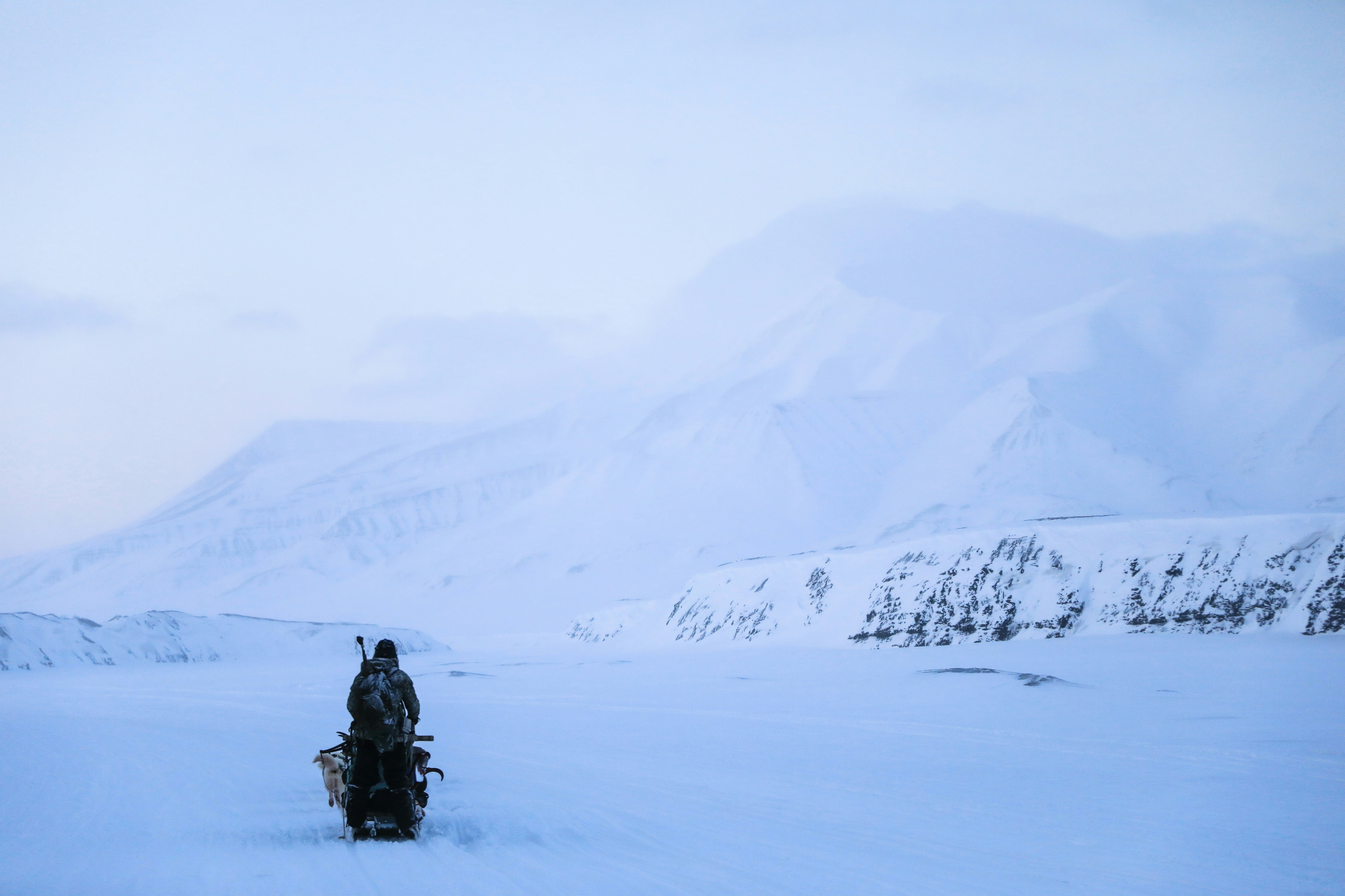 What Arctic Quiet Does to Your Brain: The Neuroscience Behind Polar Silence Addiction