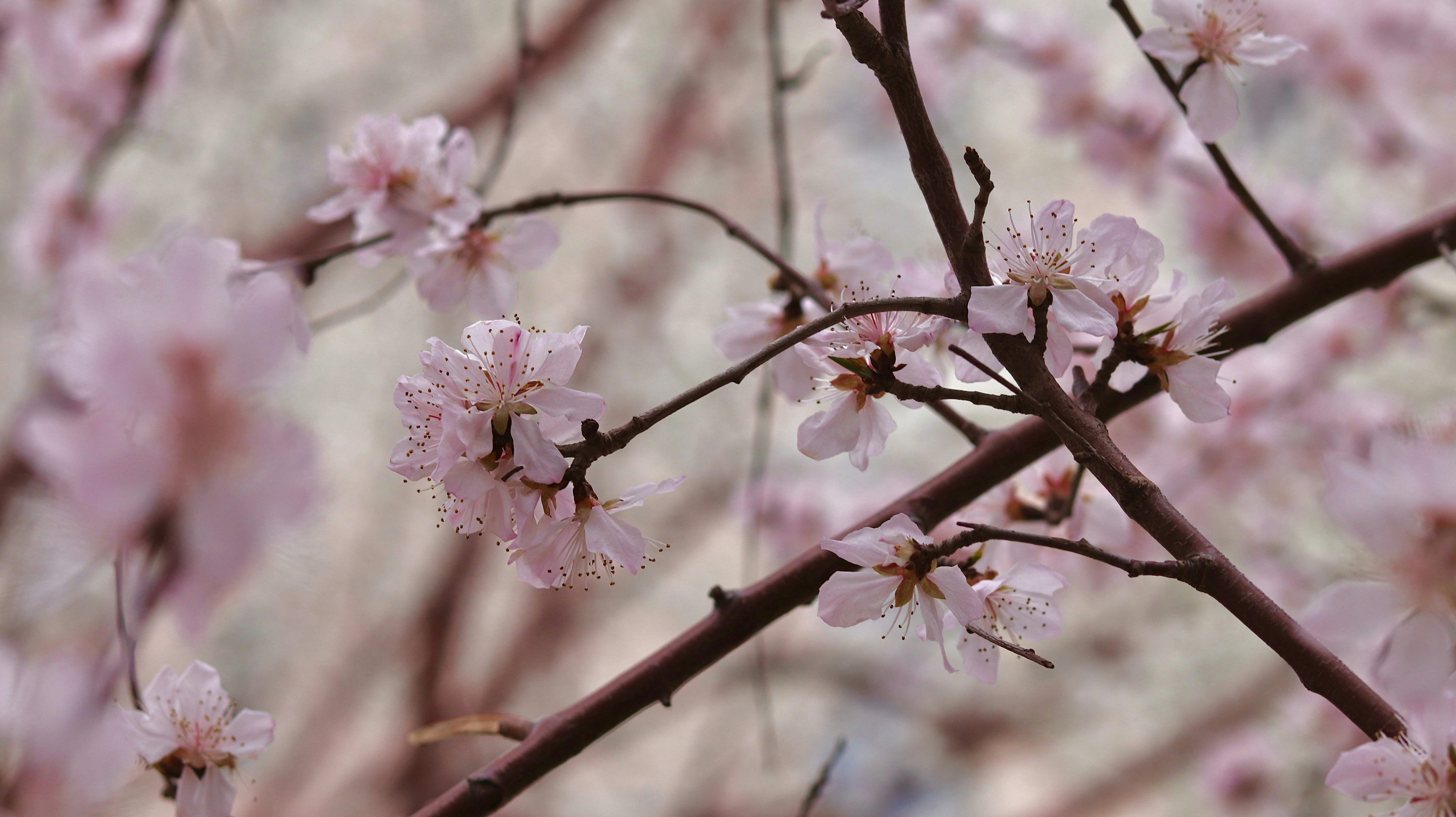 Photo by skyler029