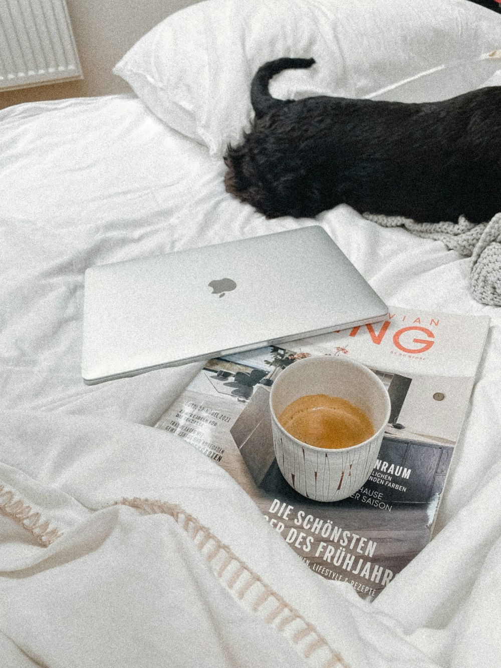 a cat laying on a bed next to a laptop