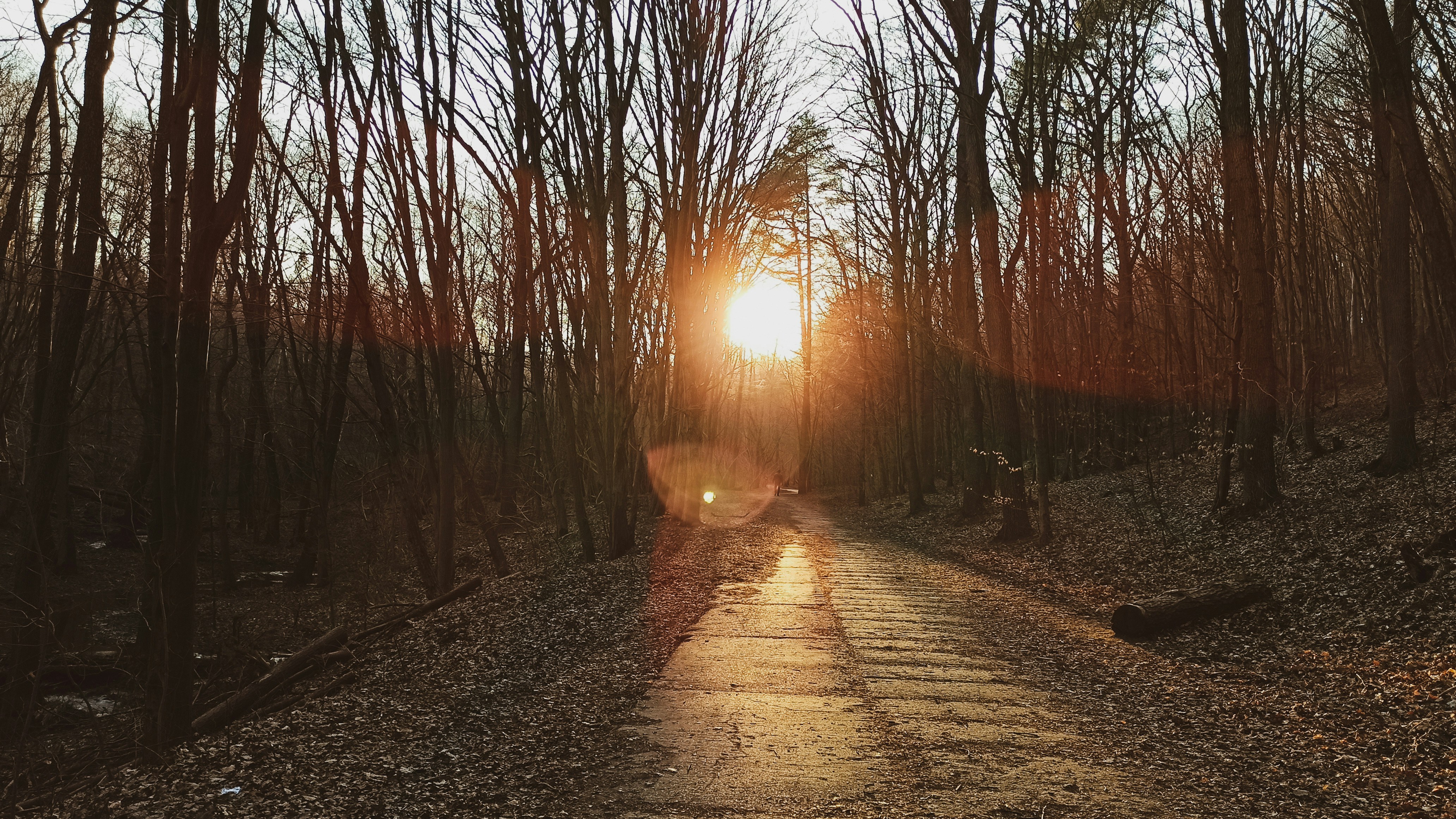 Photo by sjasionowska