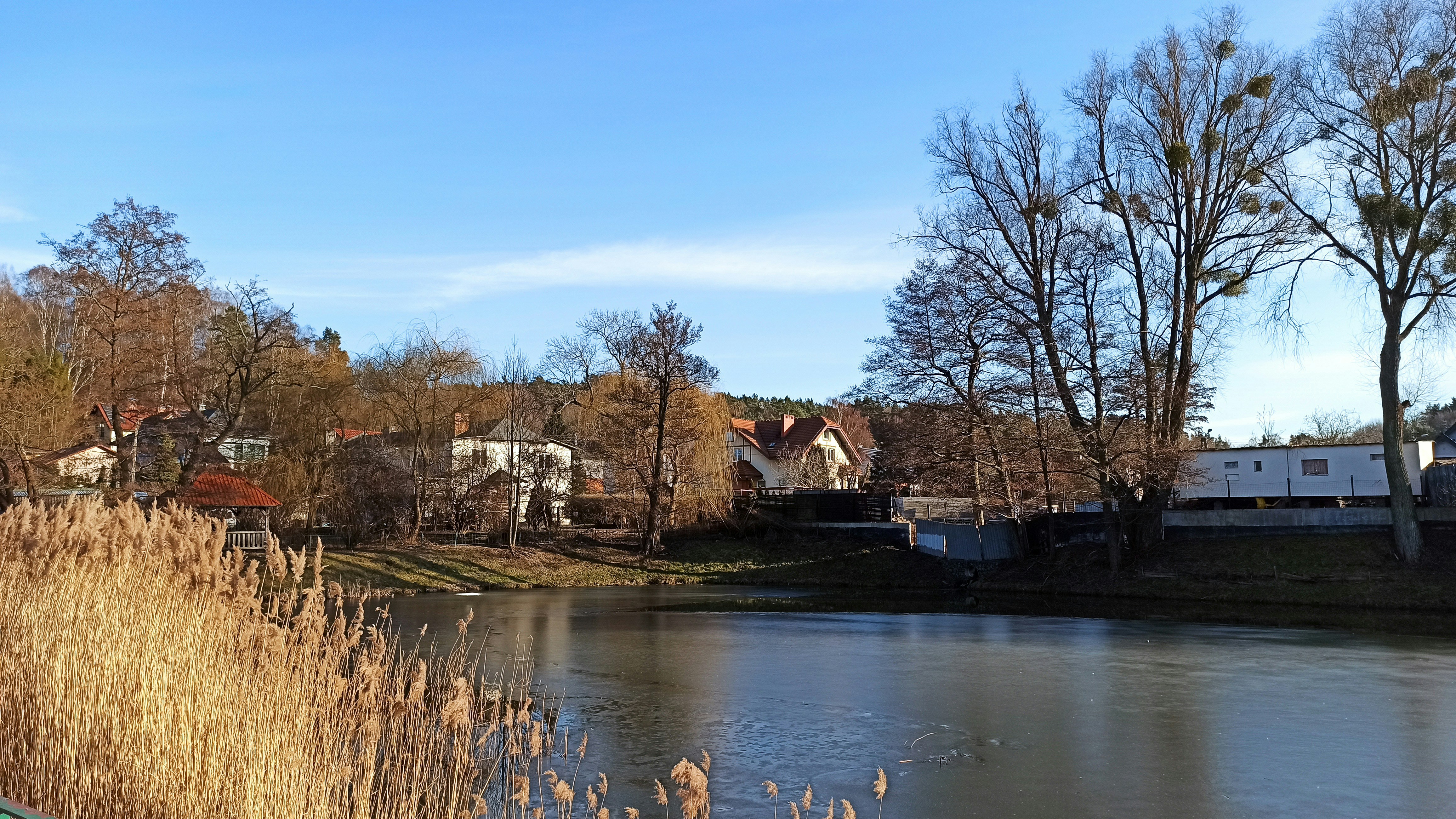 uno specchio d'acqua circondato da alberi e case