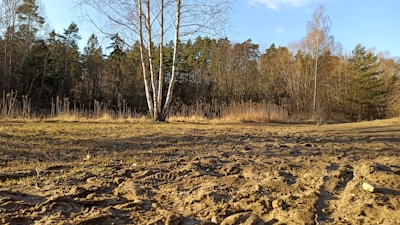 In Skagit County, we can turn your invasive weeks in to a dirt field for lawn or farming.