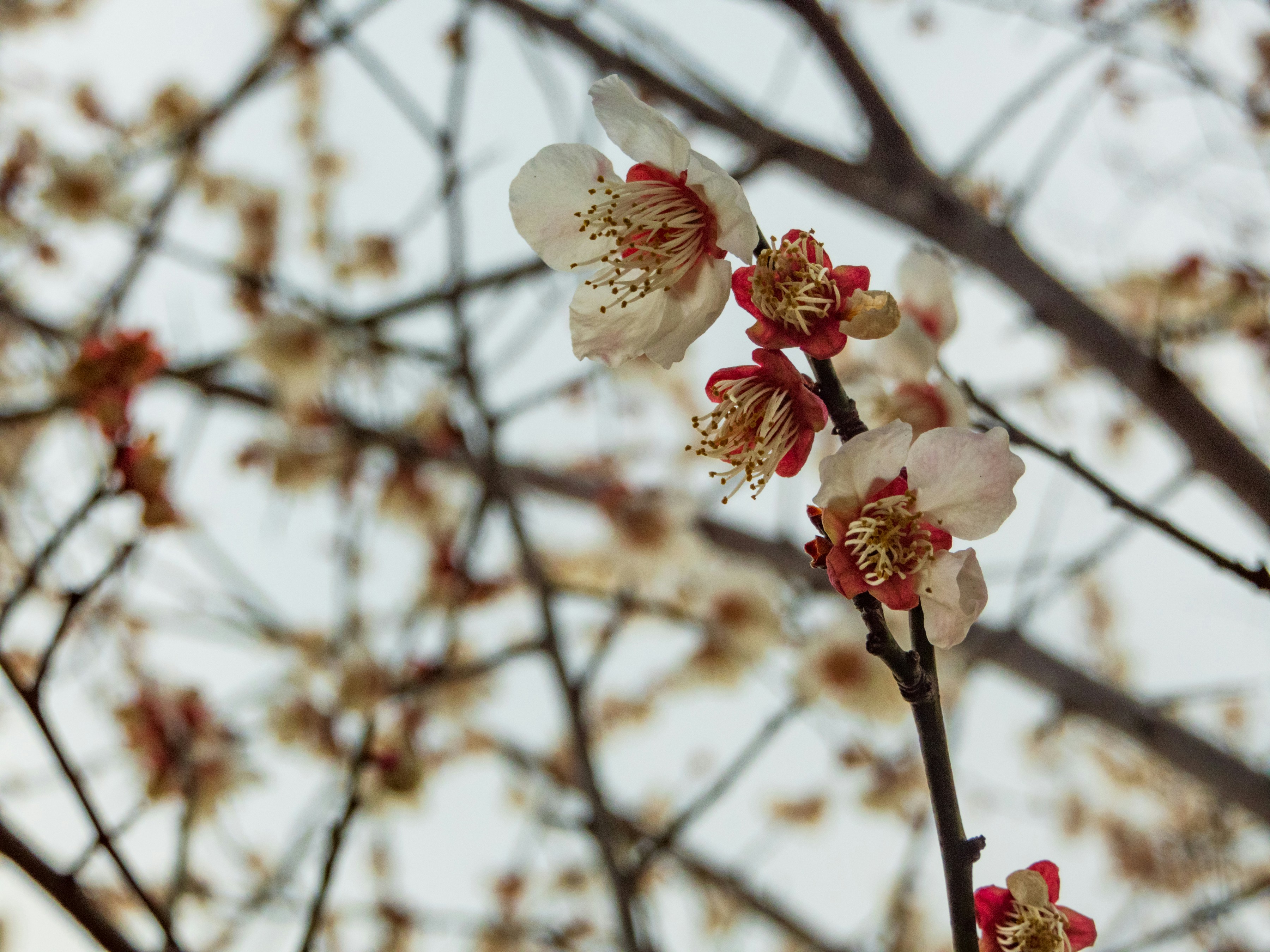 Photo by heppoko_yama