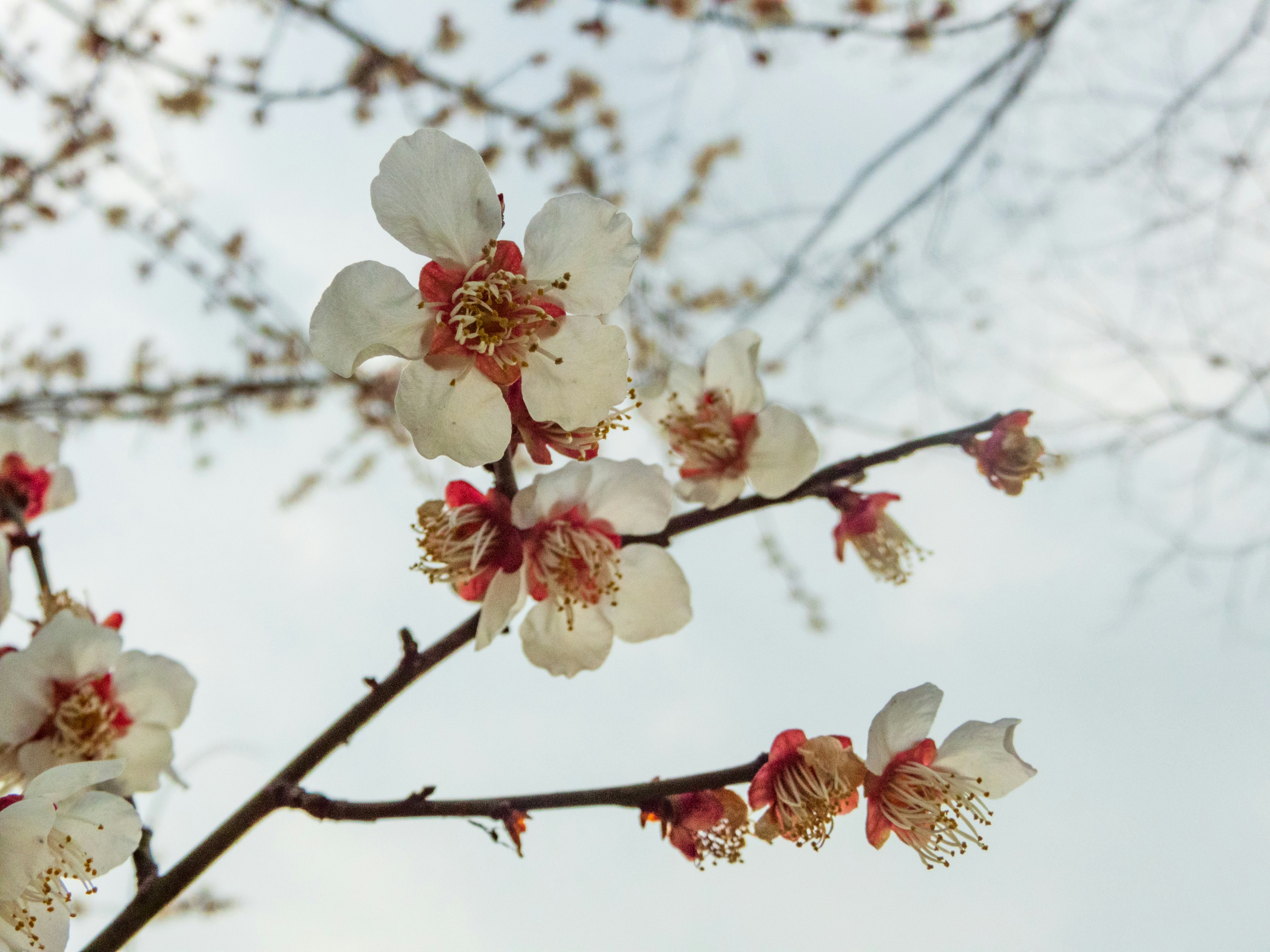 Photo by heppoko_yama