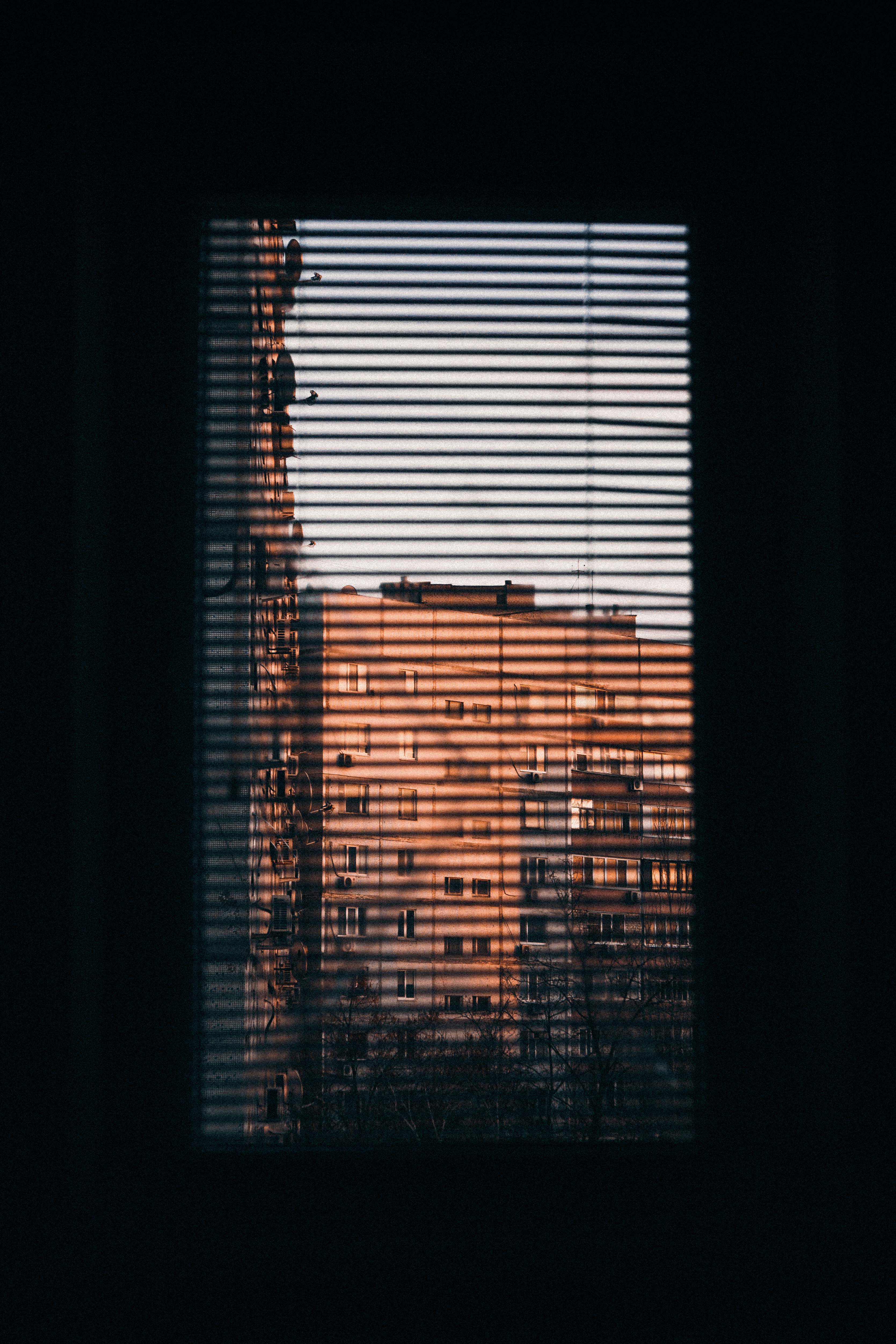 Photo by itsmaxpictures