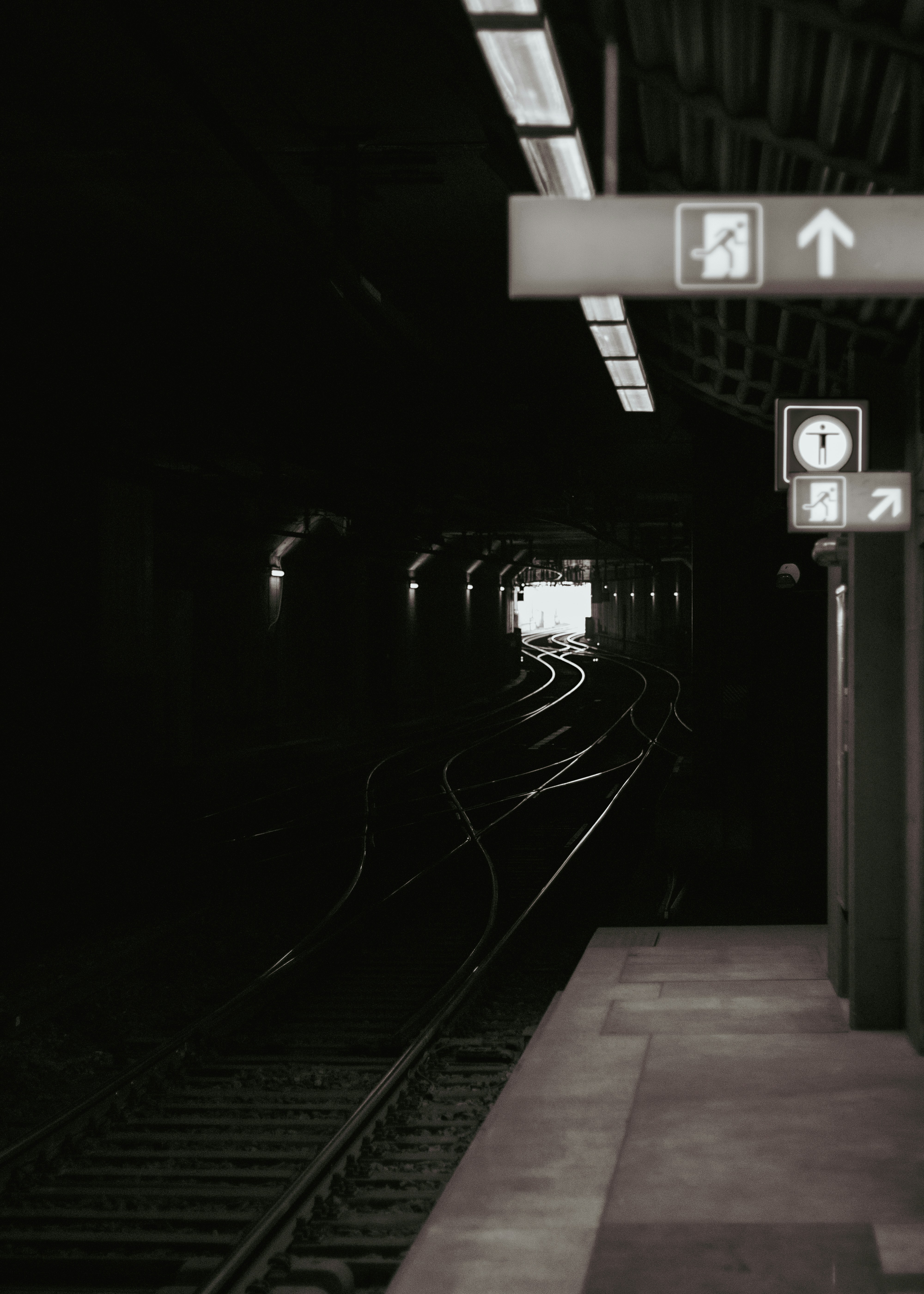 Photo by 100millione