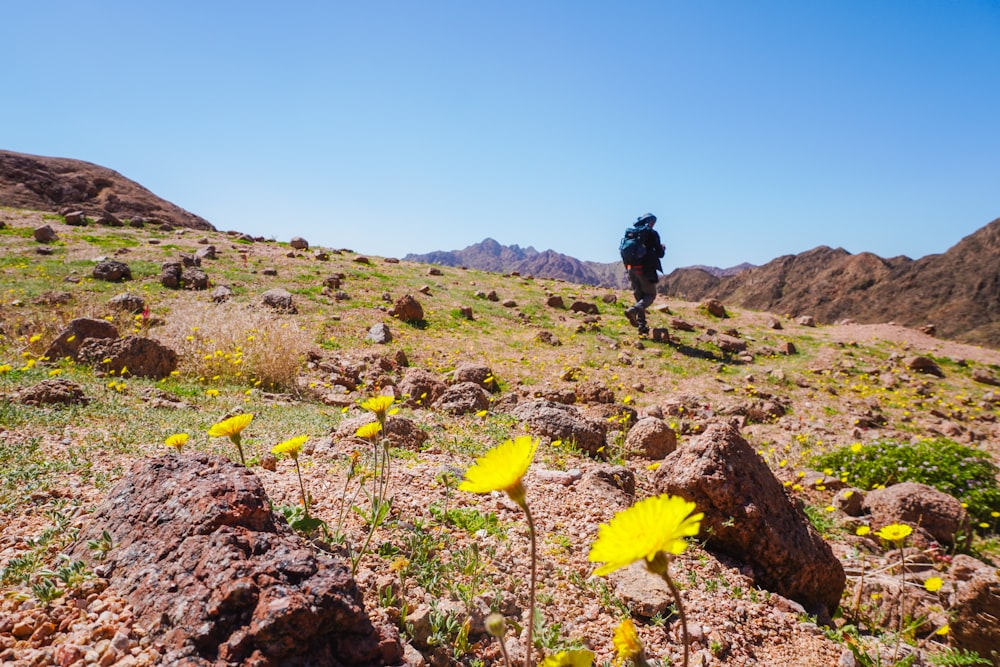 a person hiking up a hill with yellow flowers