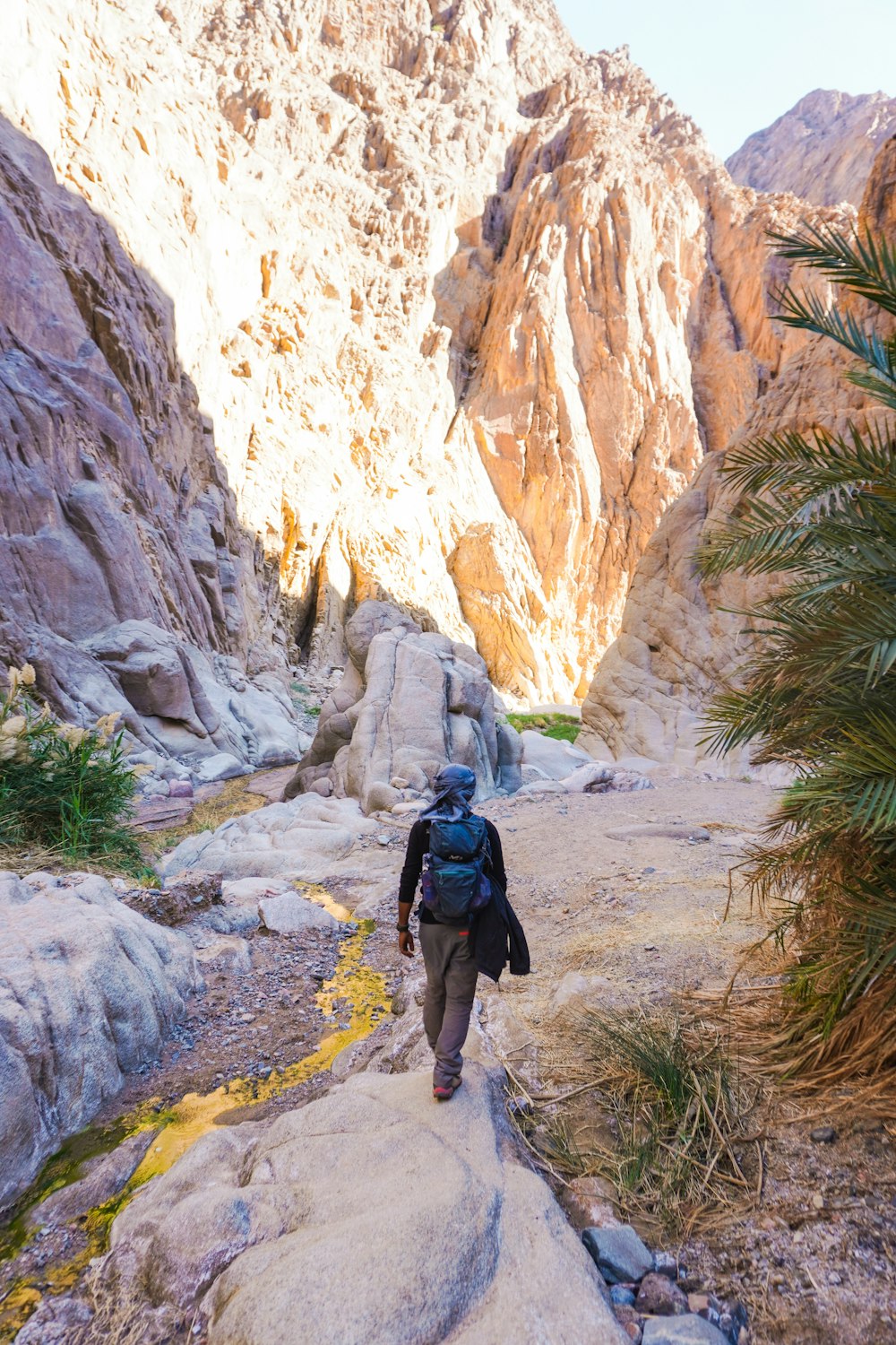 a man hiking up a trail in the mountains