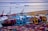 A bustling port filled with a multitude of colorful shipping containers stacked in rows. Several cranes in shades of blue and yellow are positioned above the containers, indicating active loading and unloading operations. Multiple ships are docked at the harbor, with more vessels visible in the calm water beyond the port. The scene conveys a sense of industrial activity and maritime trade.