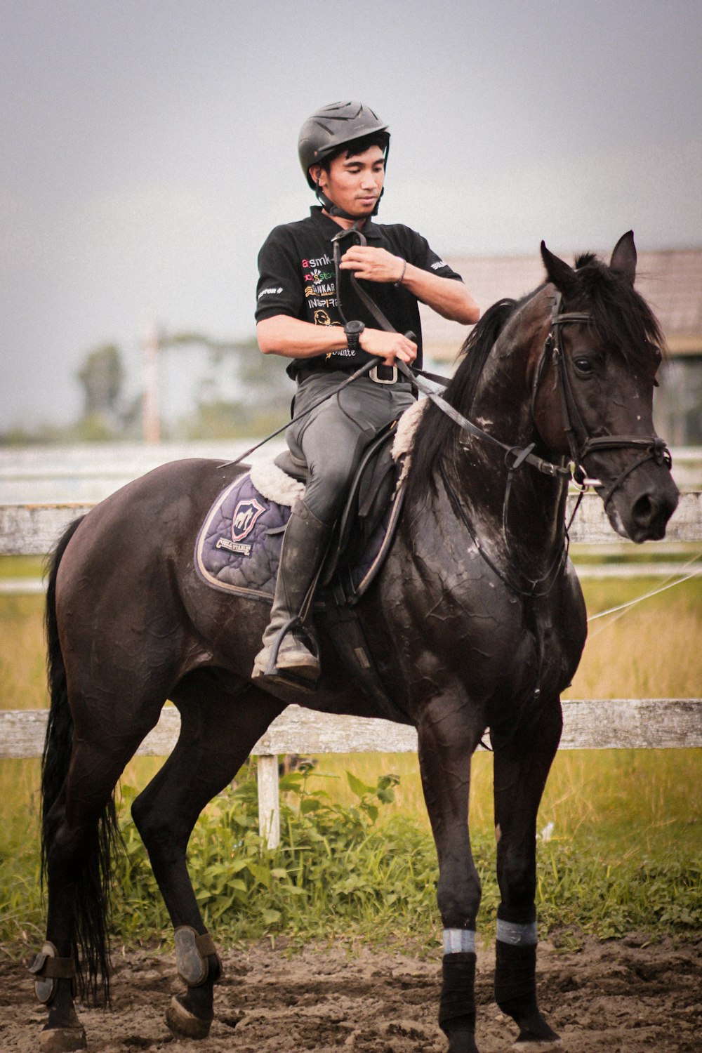 a young boy riding on the back of a brown horse