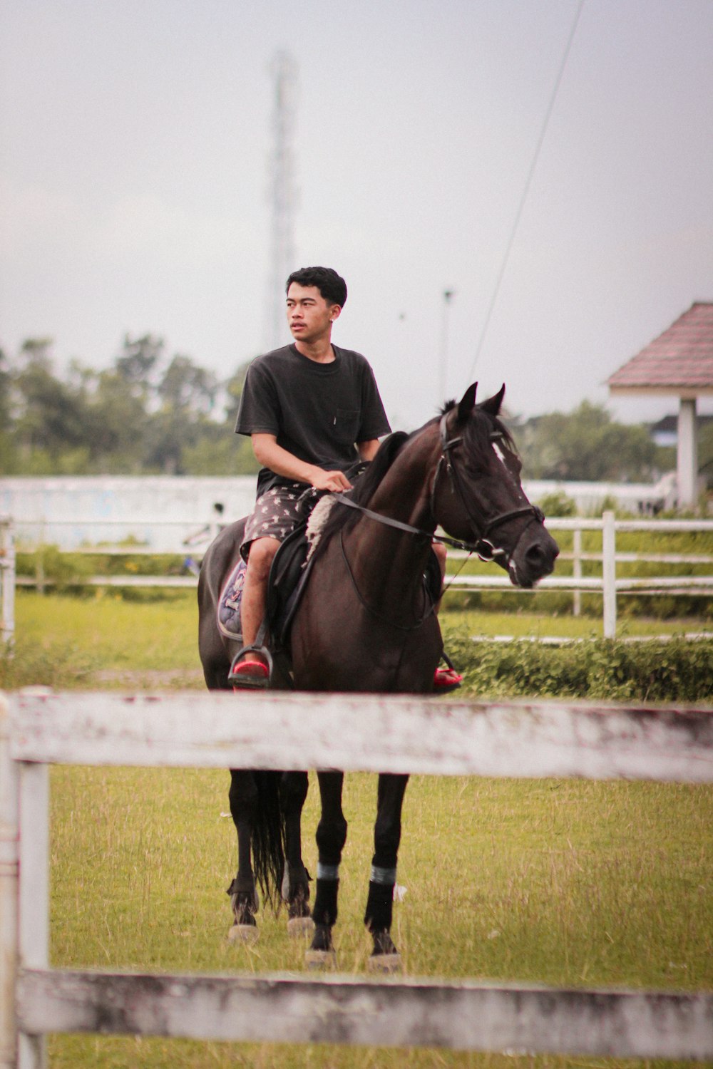 a man riding on the back of a brown horse