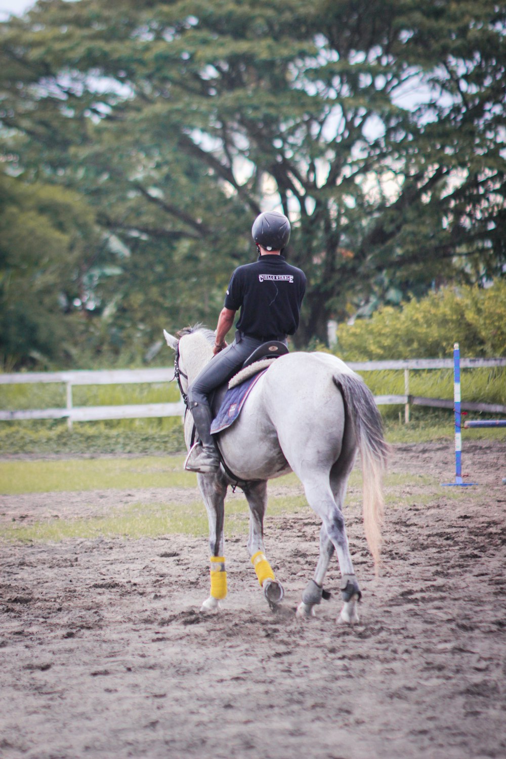 a person riding on the back of a white horse